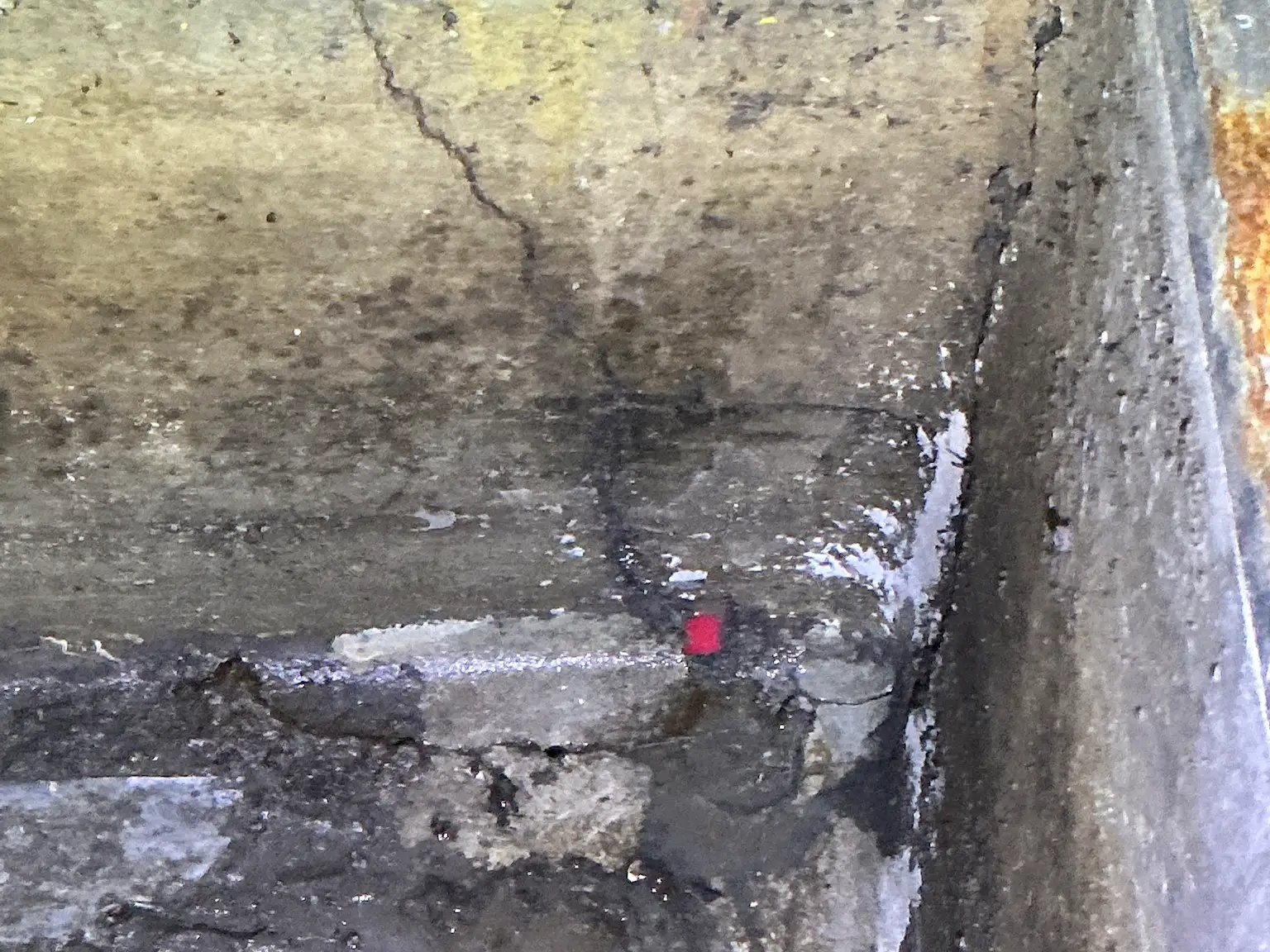Look at what our mold inspector found in Broadview Heights..