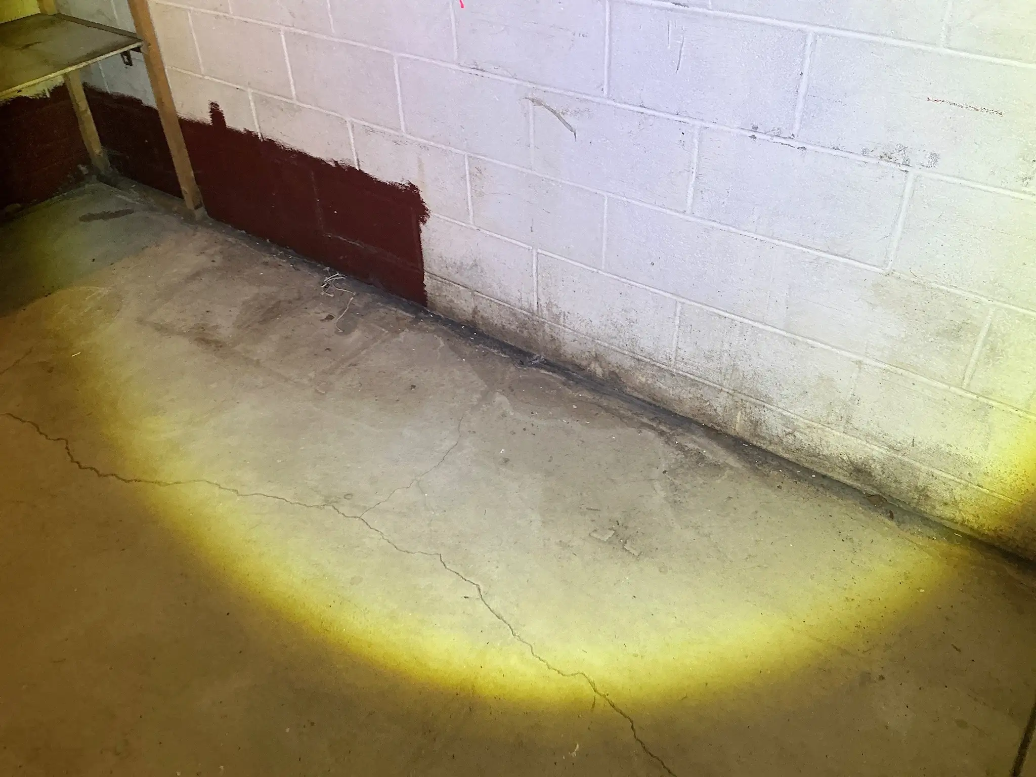 Mold found on a surface during an inspection in Broadview Heights.