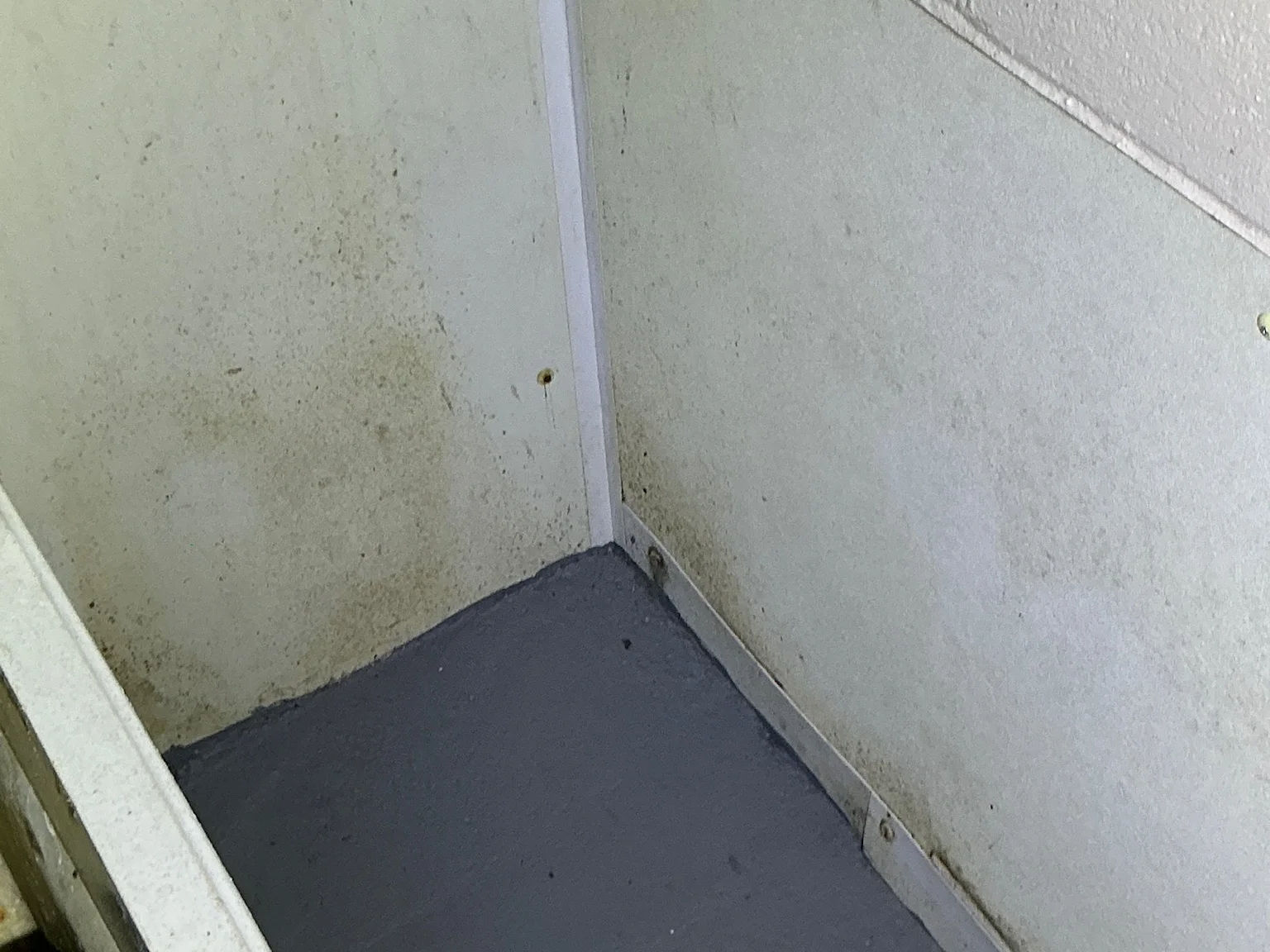 Mold inspection in Broadview Heights.