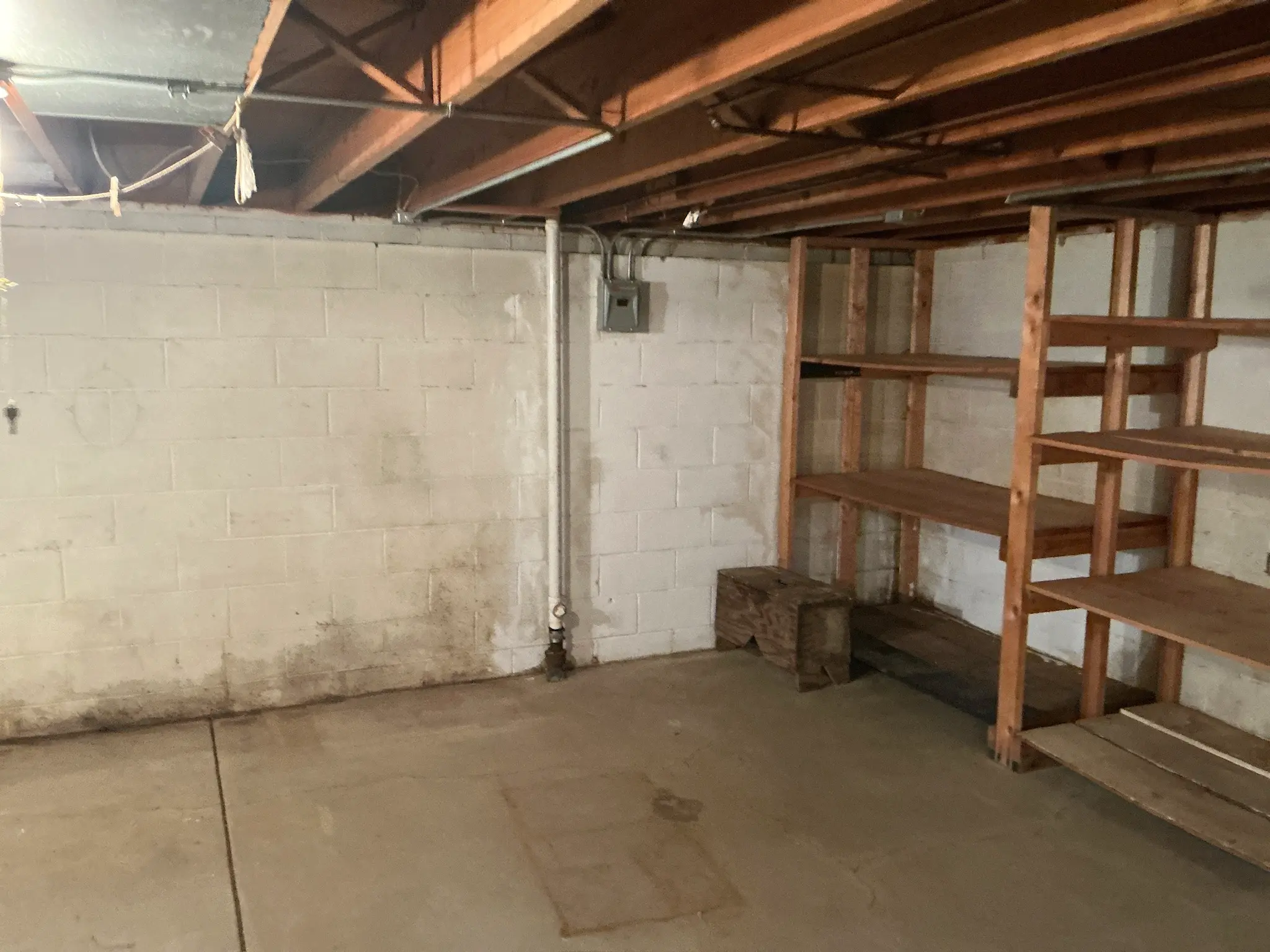 Our mold inspector found this surface mold in Broadview Heights.