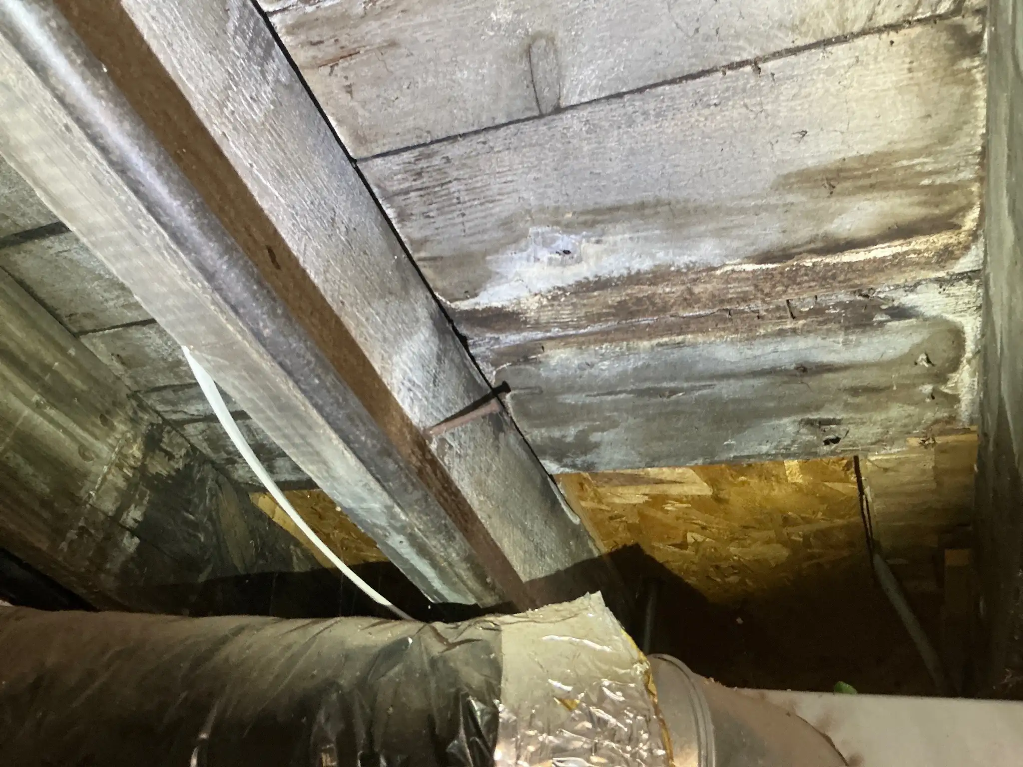 Mold found during a home inspection in Broadview Heights.