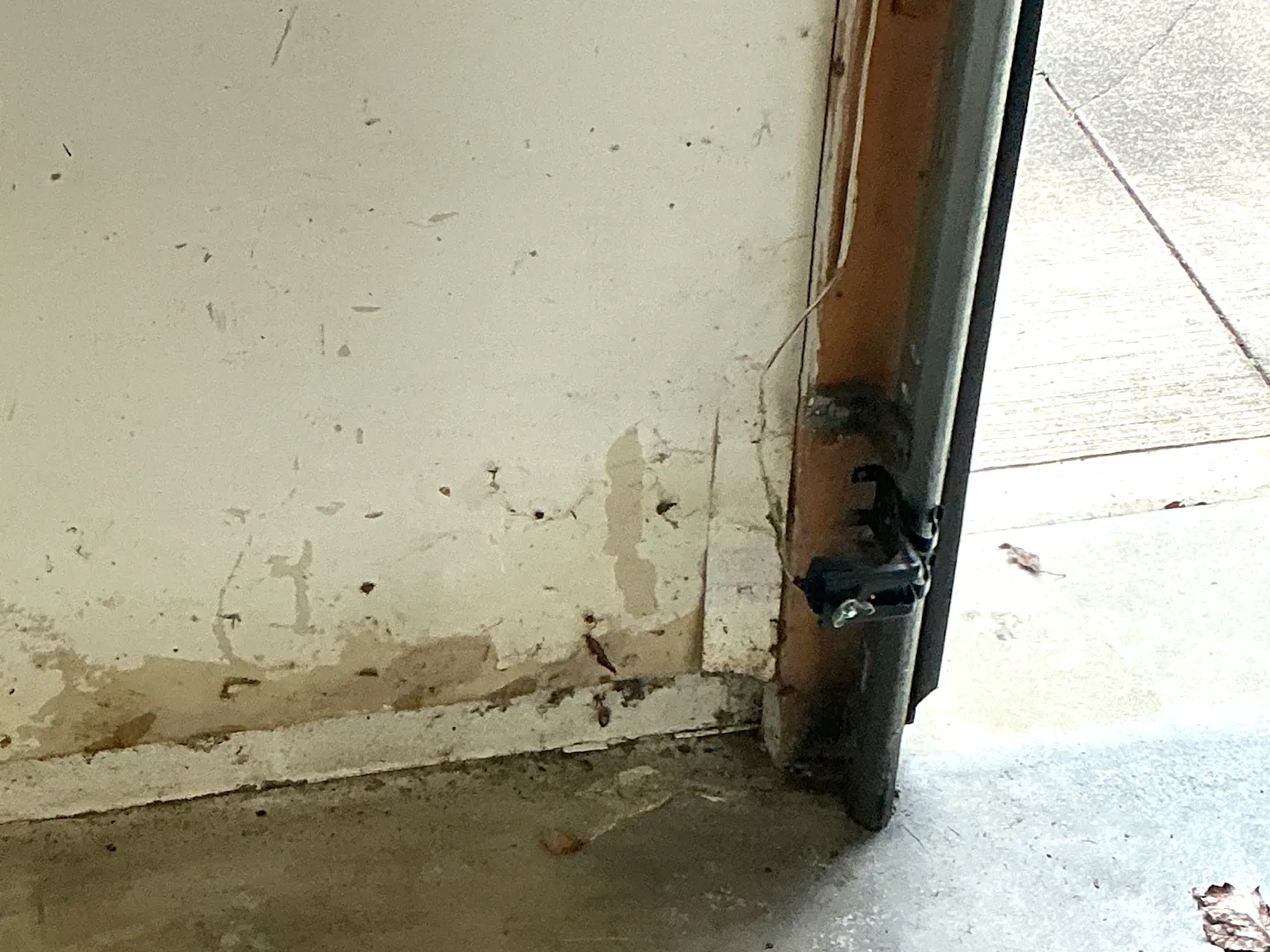 Our mold inspector found this surface mold in Brook Park.