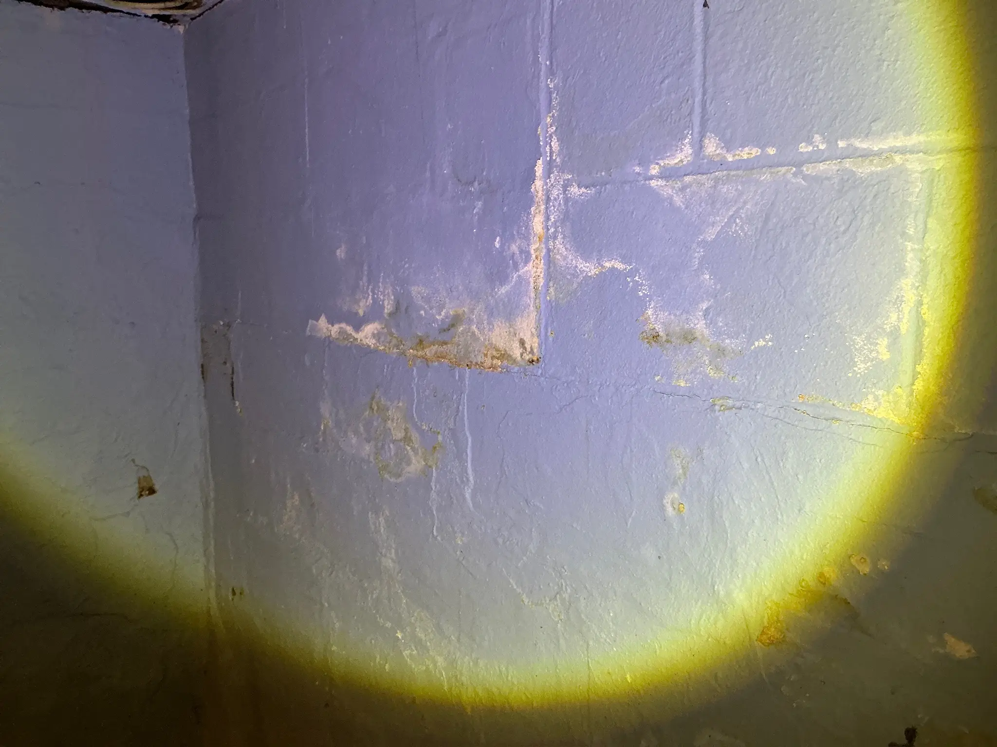 Mold found during a commercial mold inspection in Brook Park.