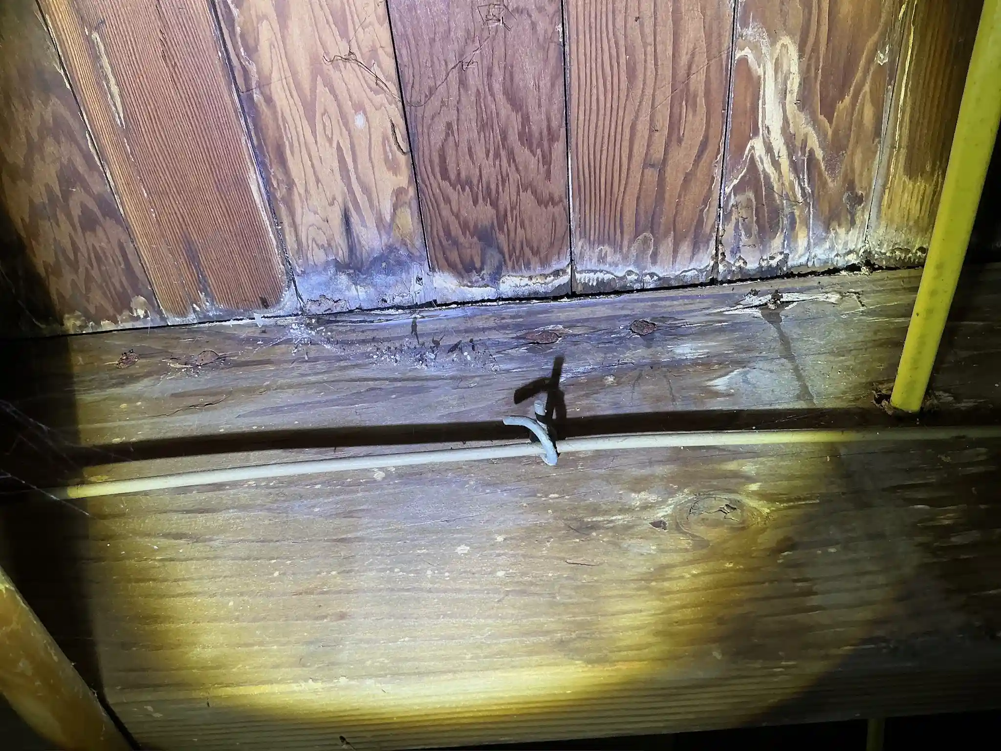 Mold inspection in Brookfield.