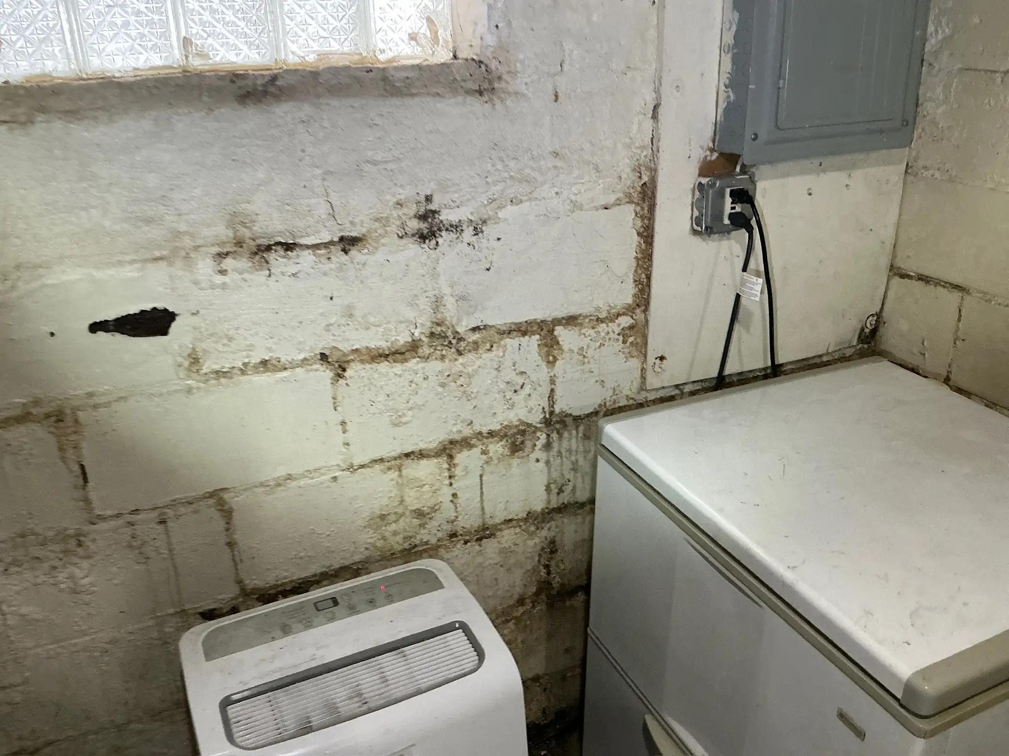 Mold found during a commercial mold inspection in Brookfield.