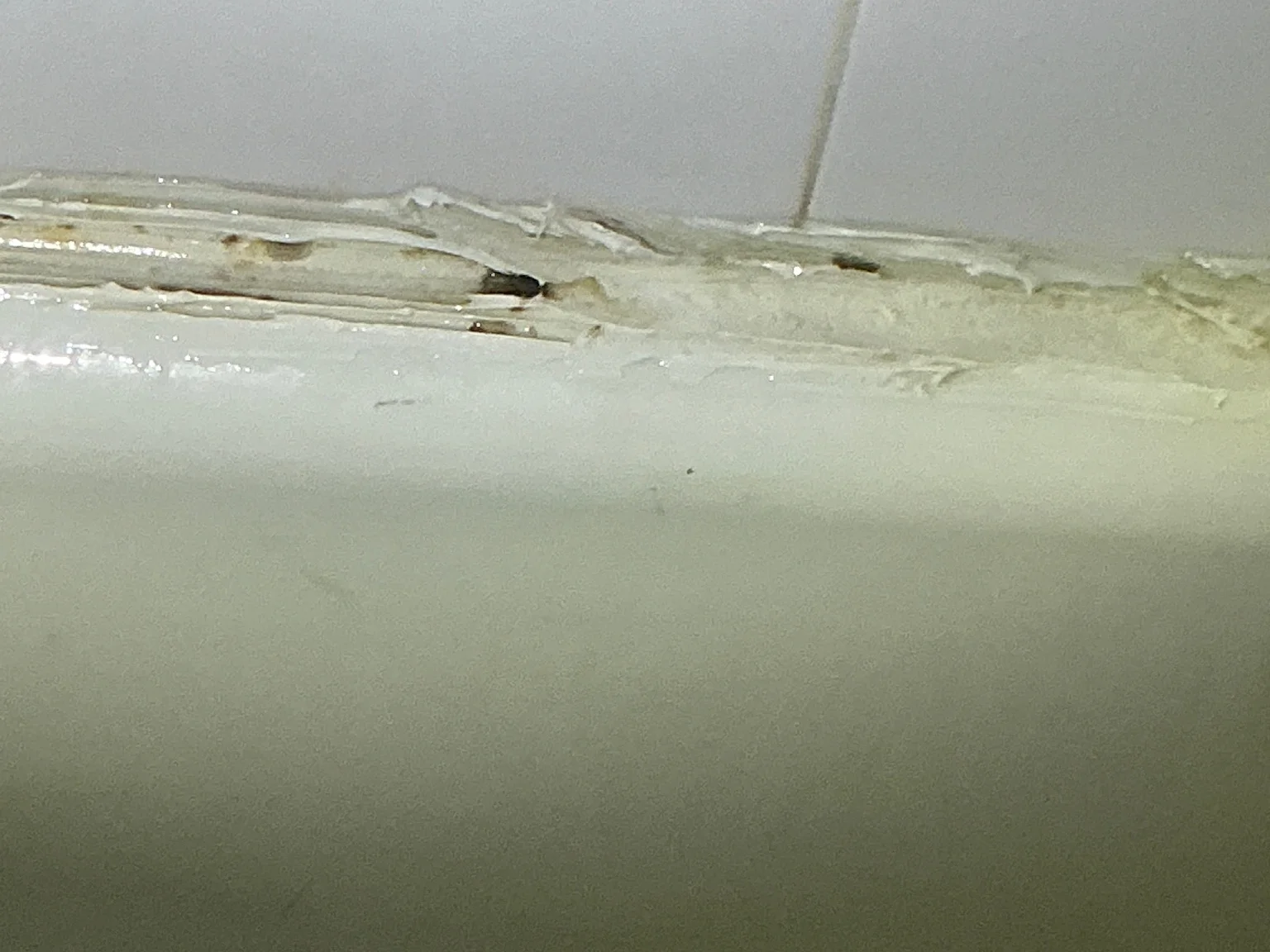 Our mold inspector found this surface mold in Brooklyn.