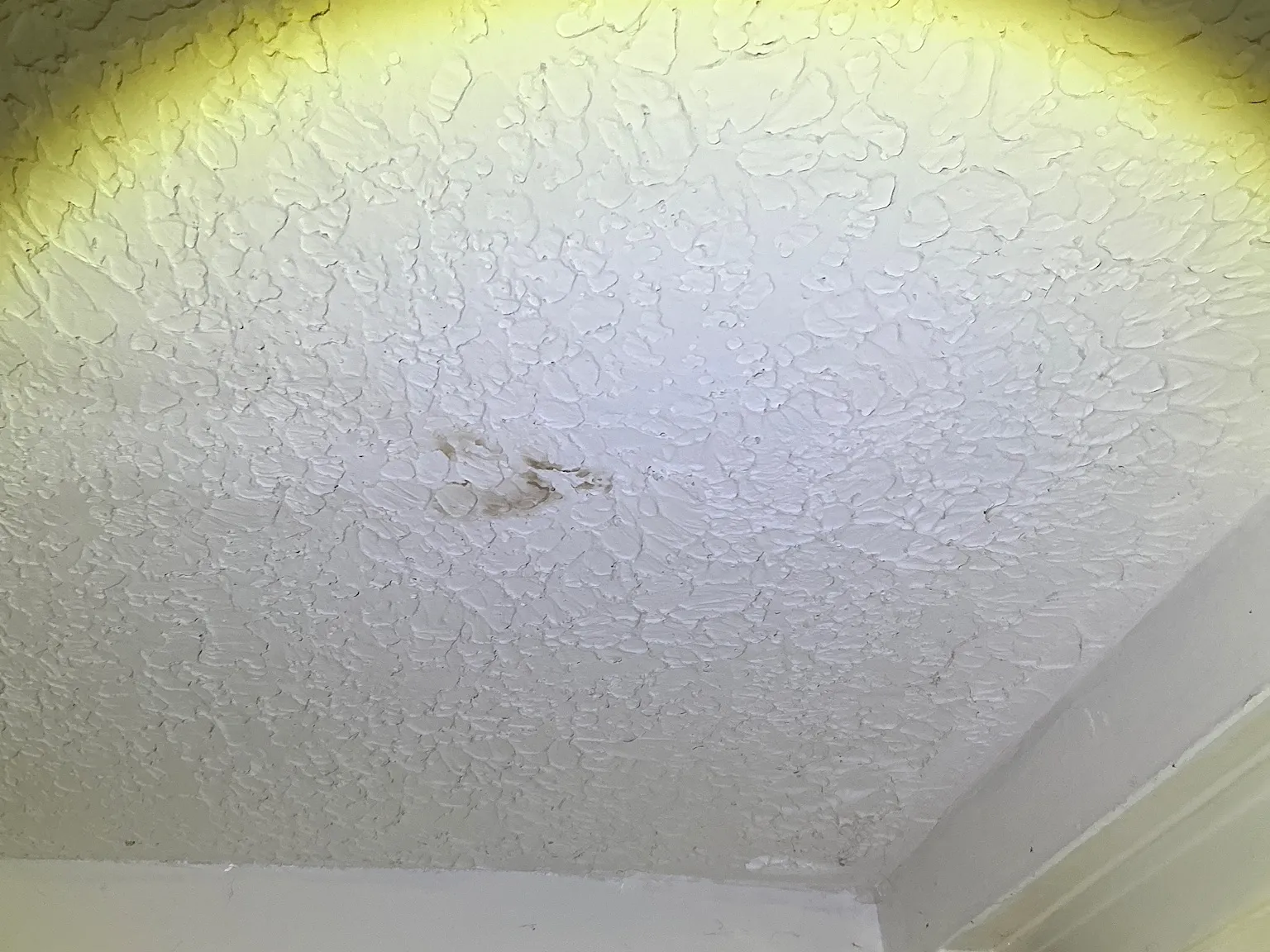 Look at what our mold inspector found in Brunswick..