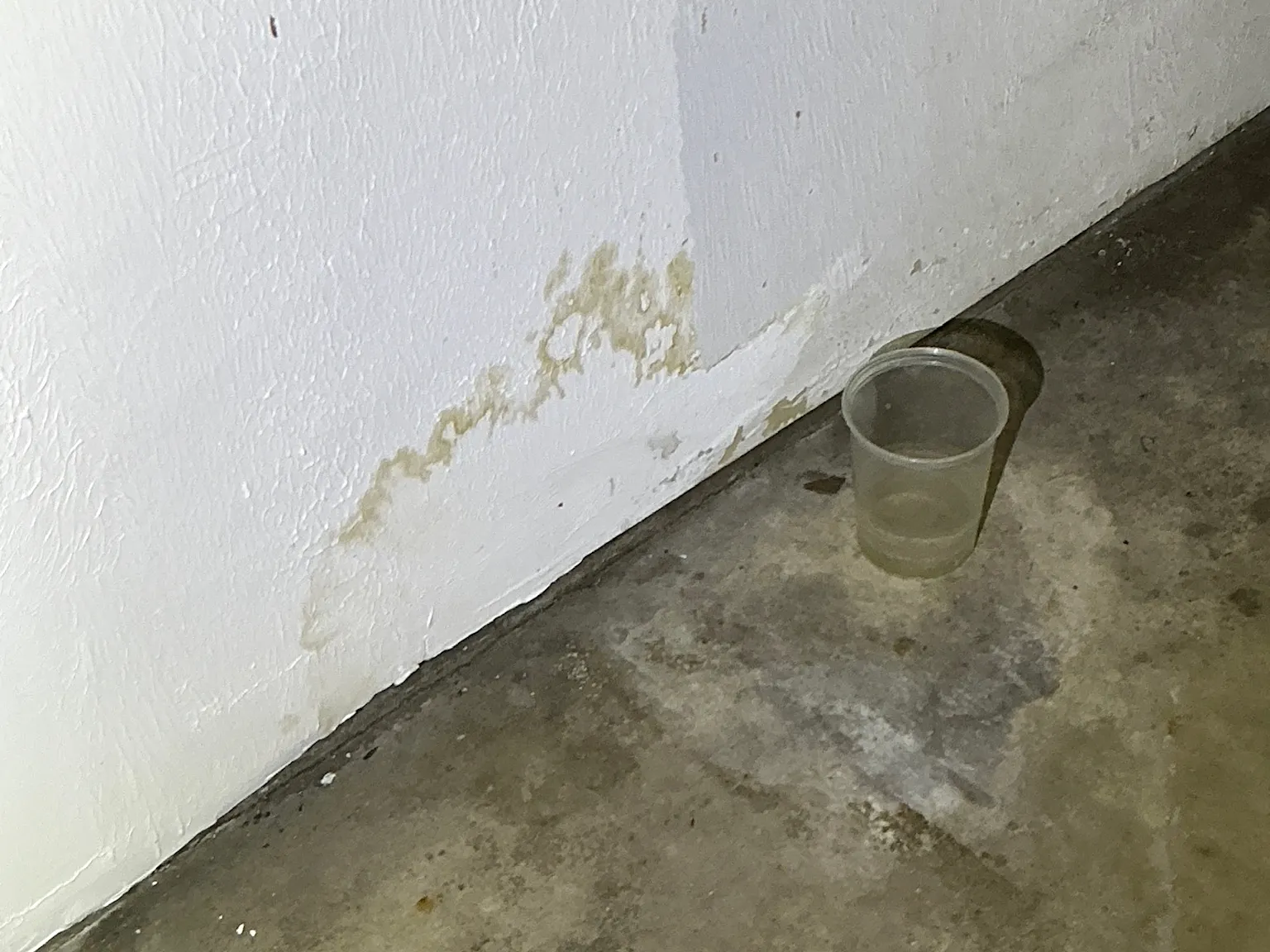 Mold inspection in Brunswick.