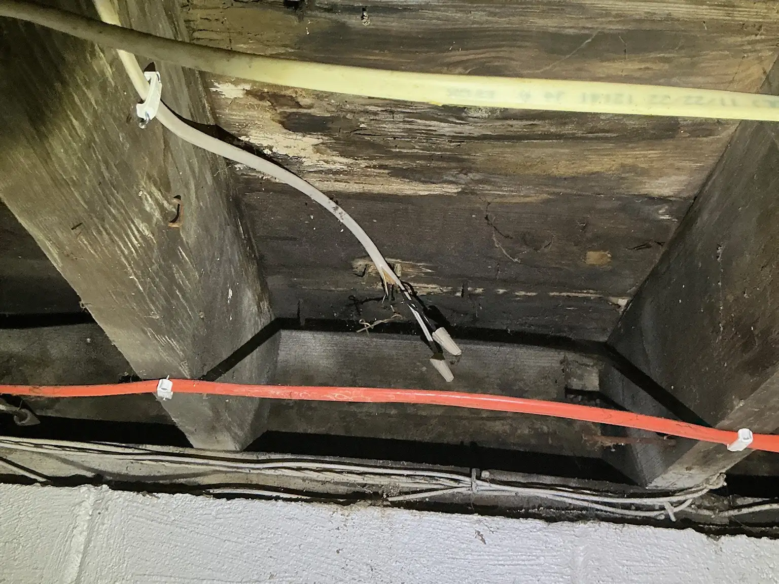 Mold found during a home inspection in Brunswick.