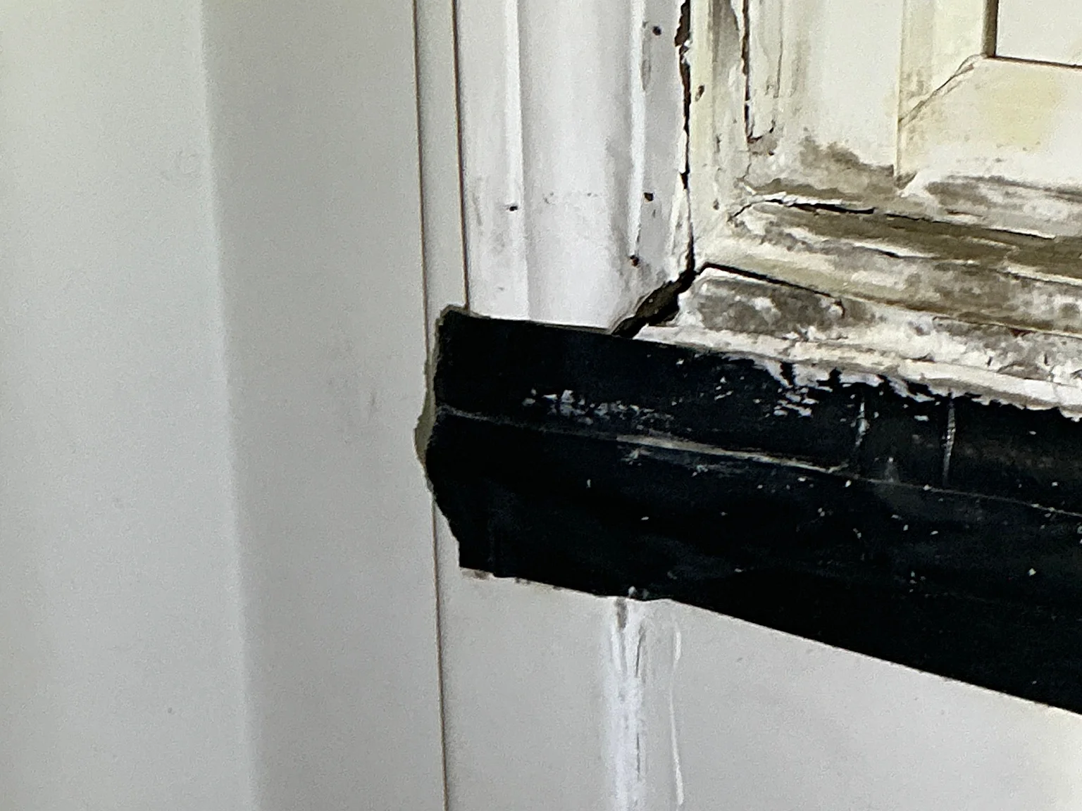 Look at what our mold inspector found in Cambridge..