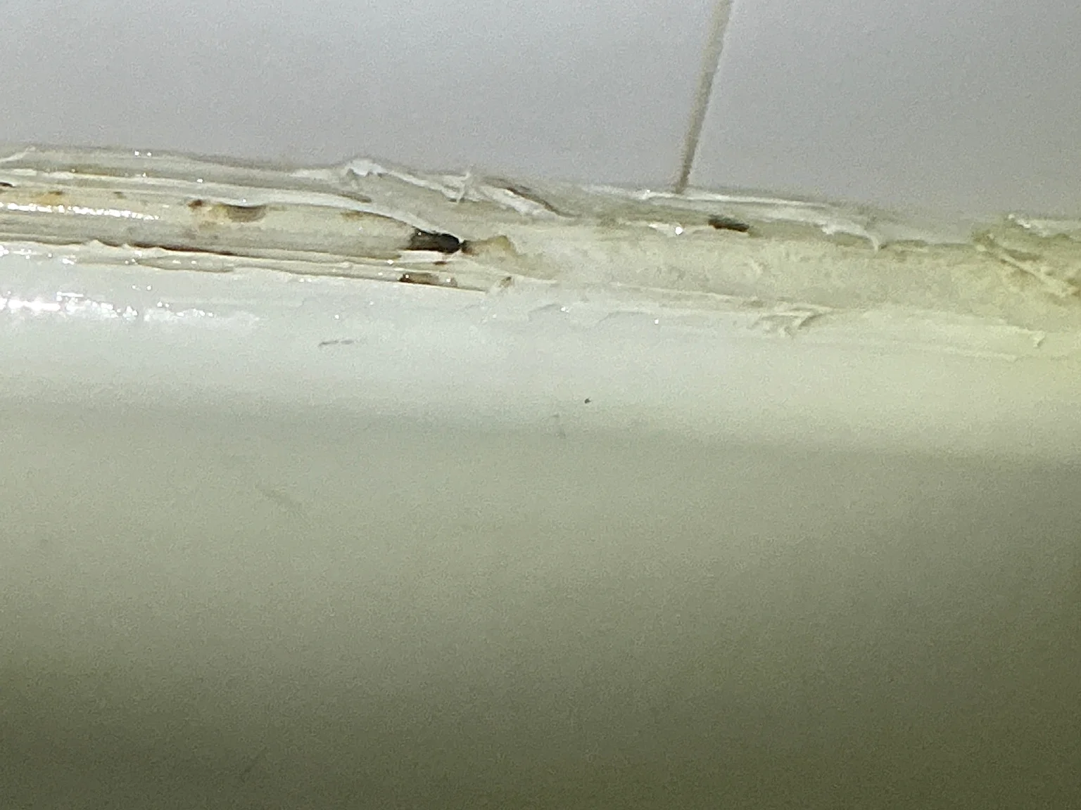 Mold found on a surface during an inspection in Cambridge.