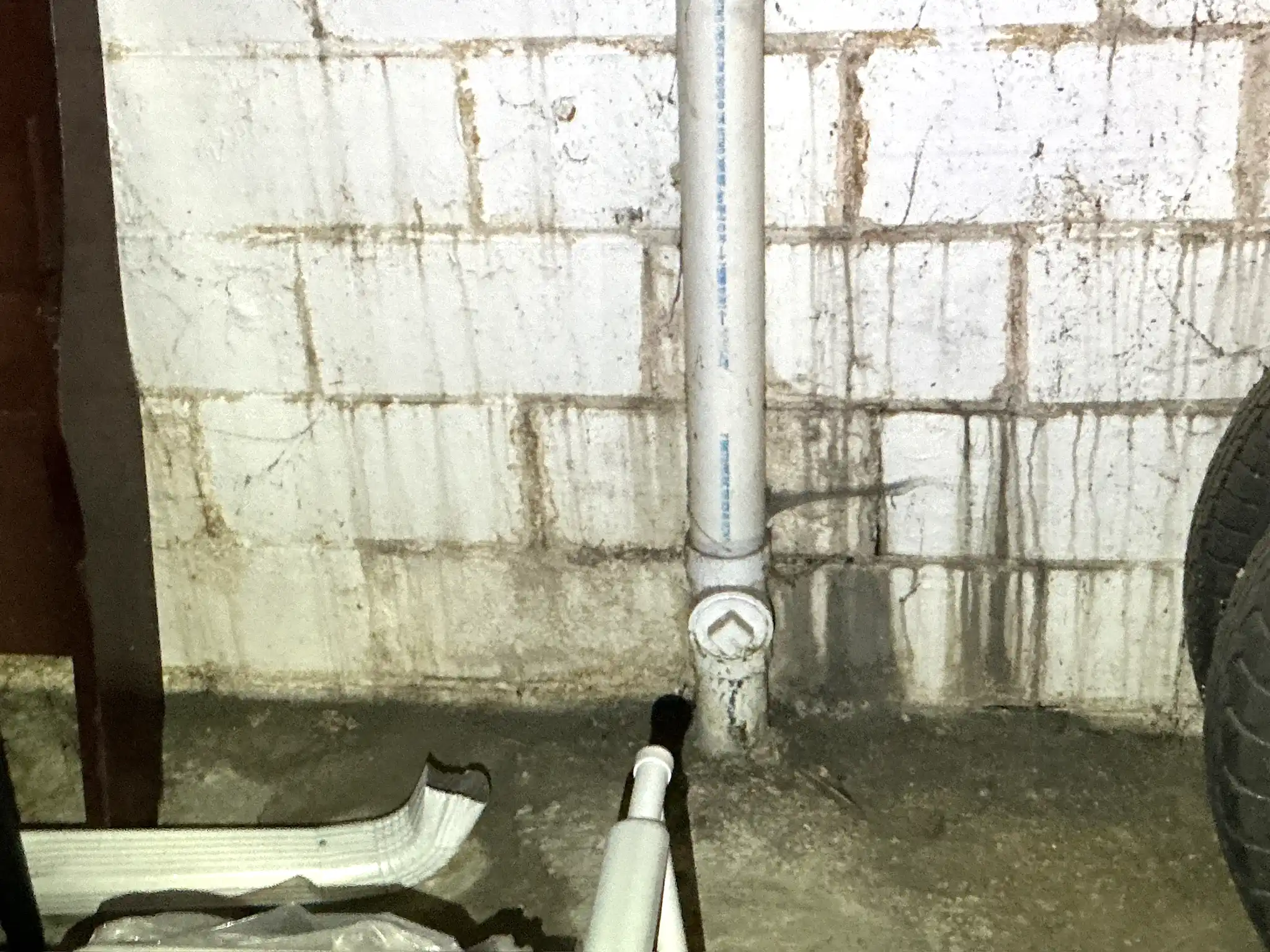 Mold found during a home inspection in Cambridge.