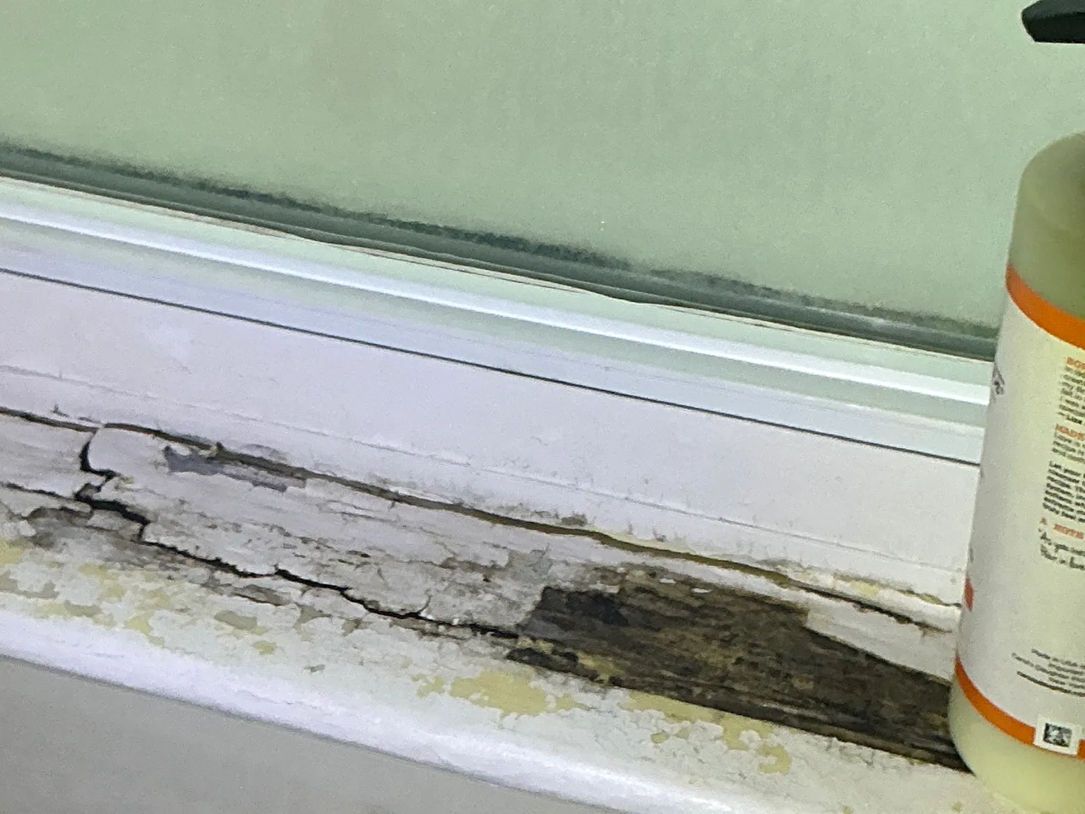 Mold found during a commercial mold inspection in Cambridge.