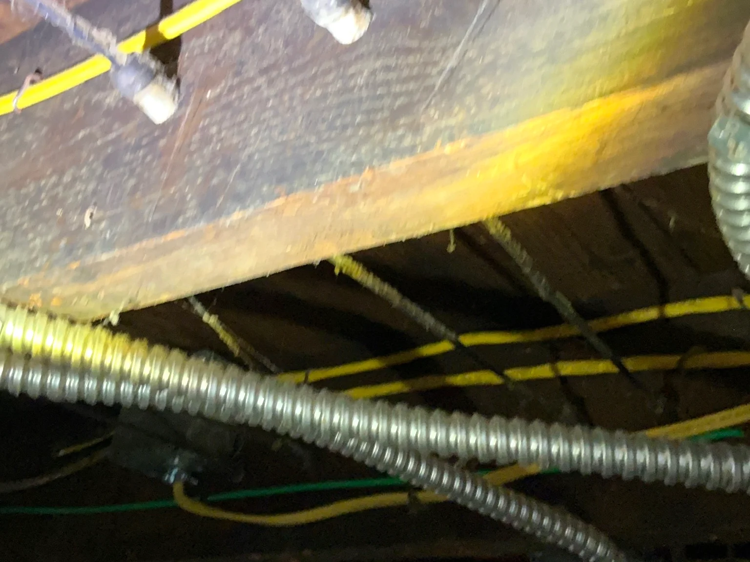 Mold inspection in Campbell.