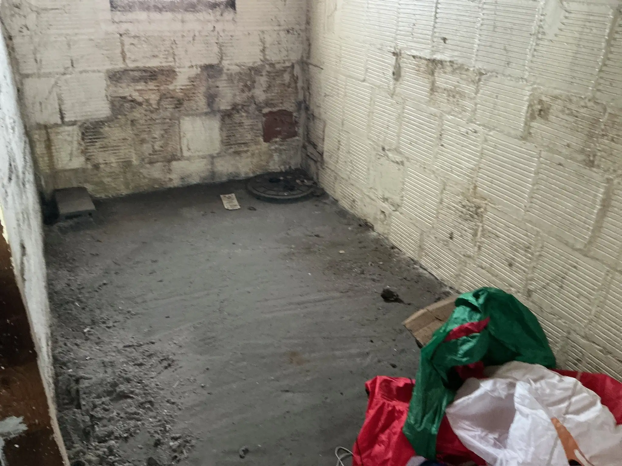 Mold found during a home inspection in Campbell.
