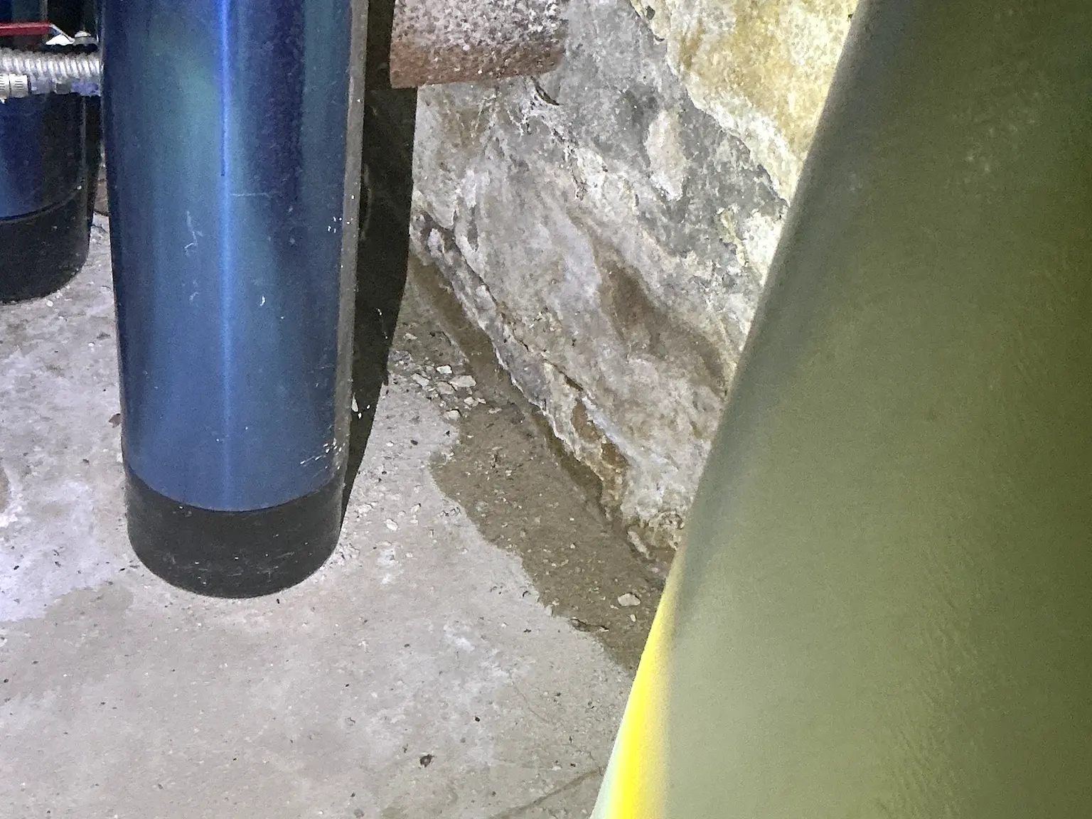 Look at what our mold inspector found in Canal Fulton..