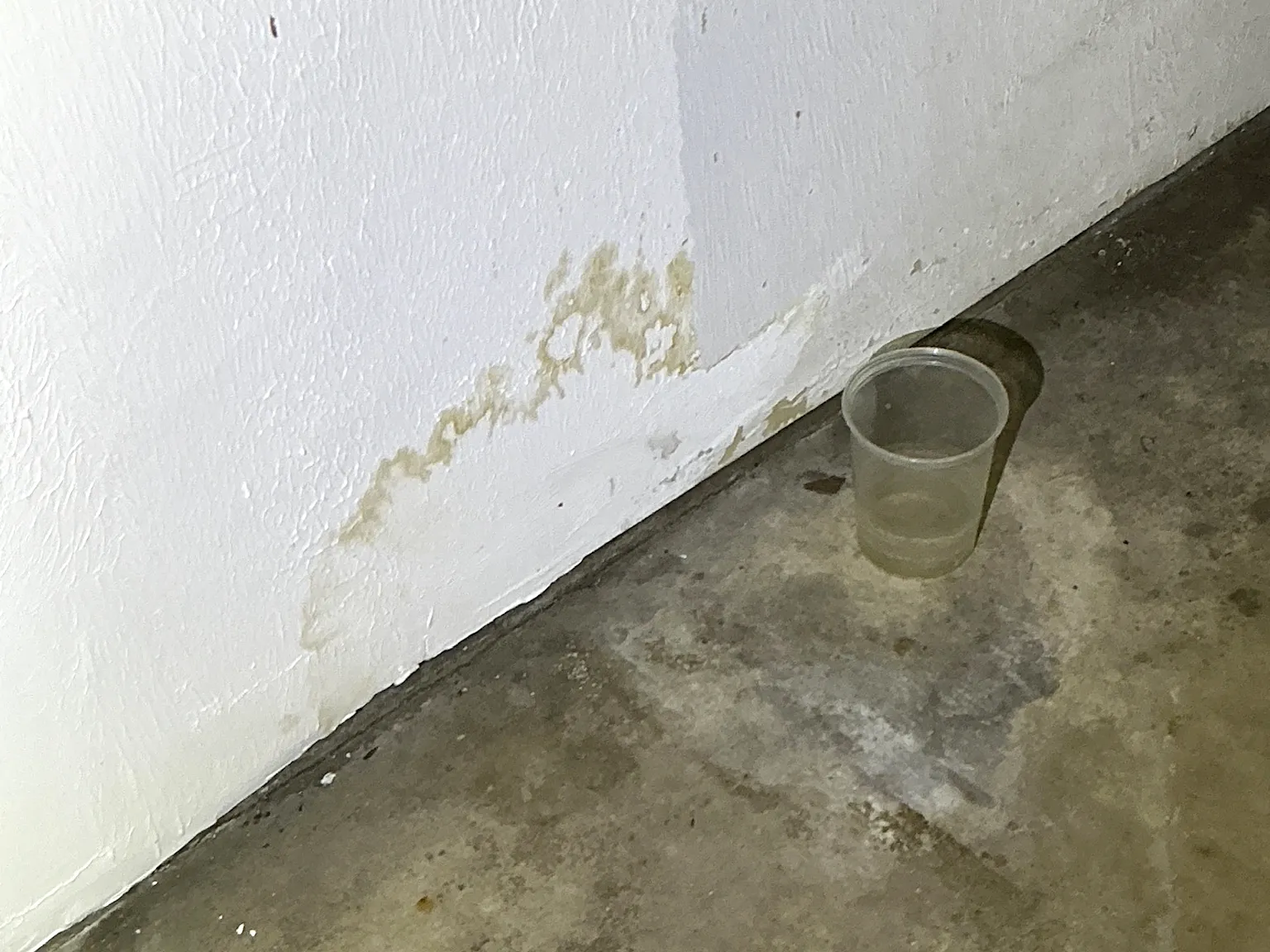 Our mold inspector found this surface mold in Canal Fulton.