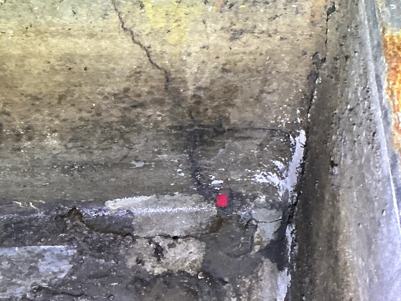 Mold found during a commercial mold inspection in Canal Fulton.