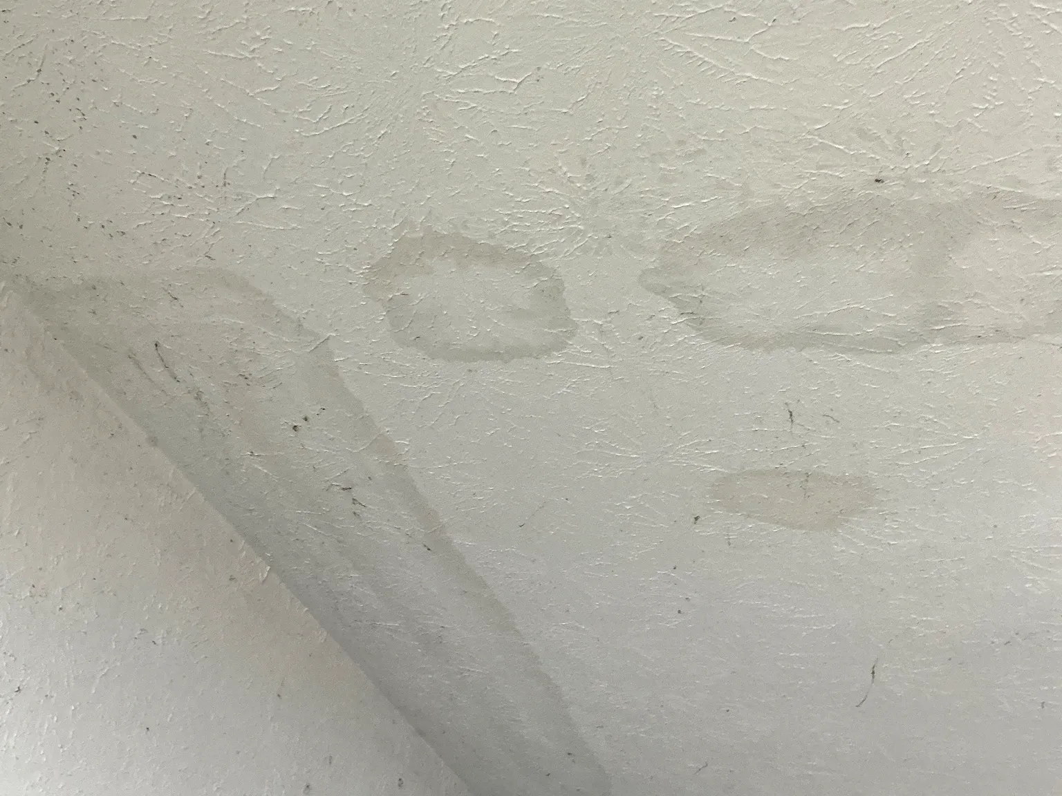 Look at what our mold inspector found in Canfield..