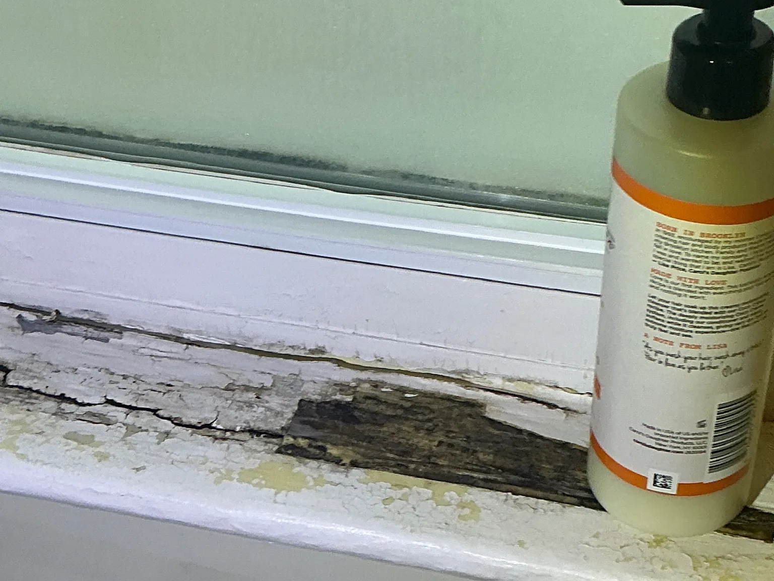 Mold found on a surface during an inspection in Canfield.