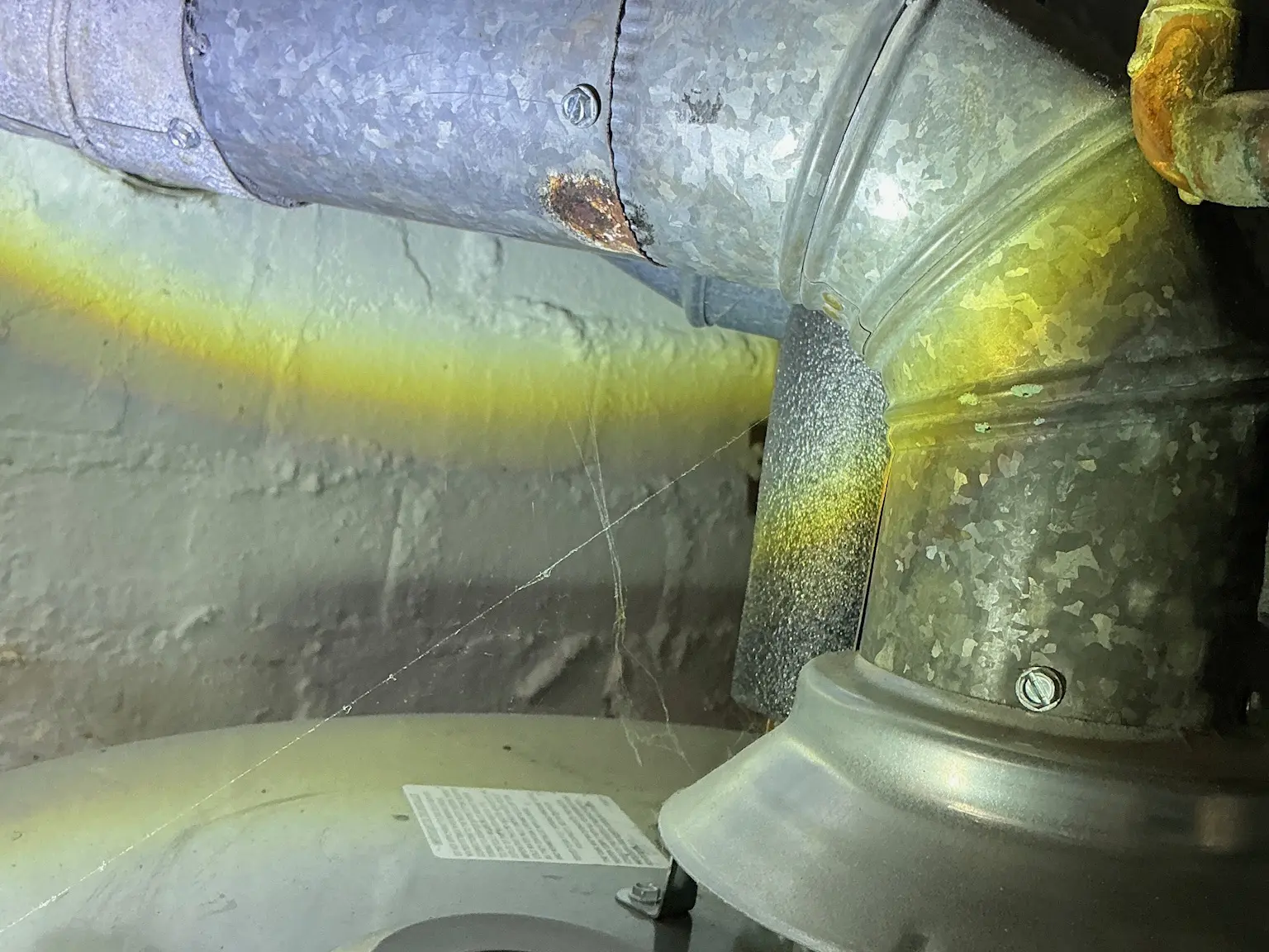 Mold inspection in Canfield.