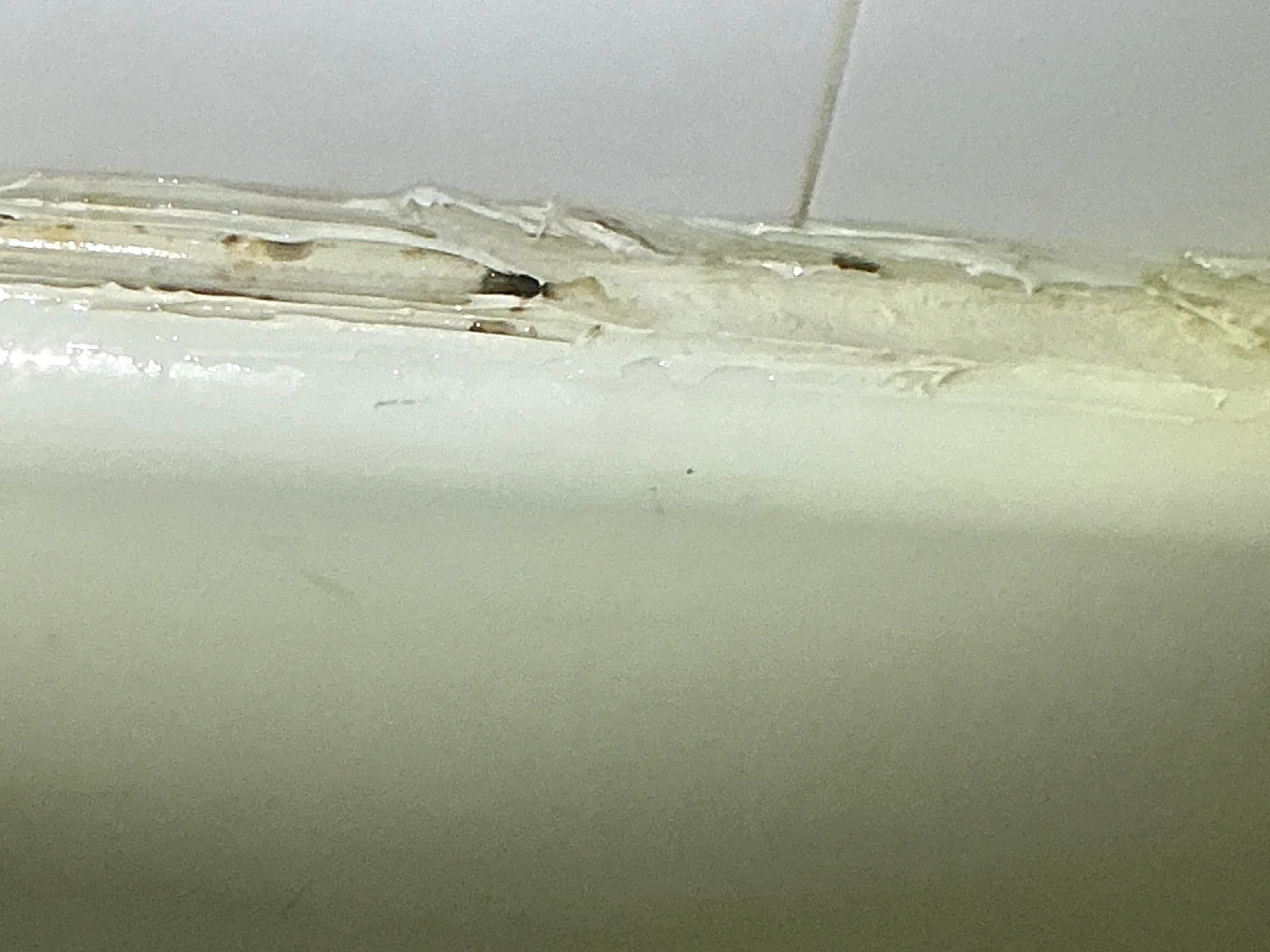 Mold found during a commercial mold inspection in Canfield.