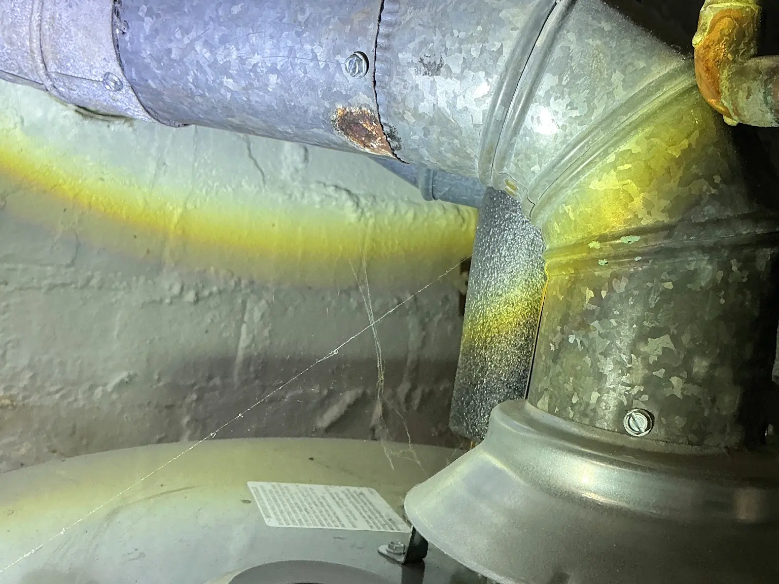 Mold found on a surface during an inspection in Canton.