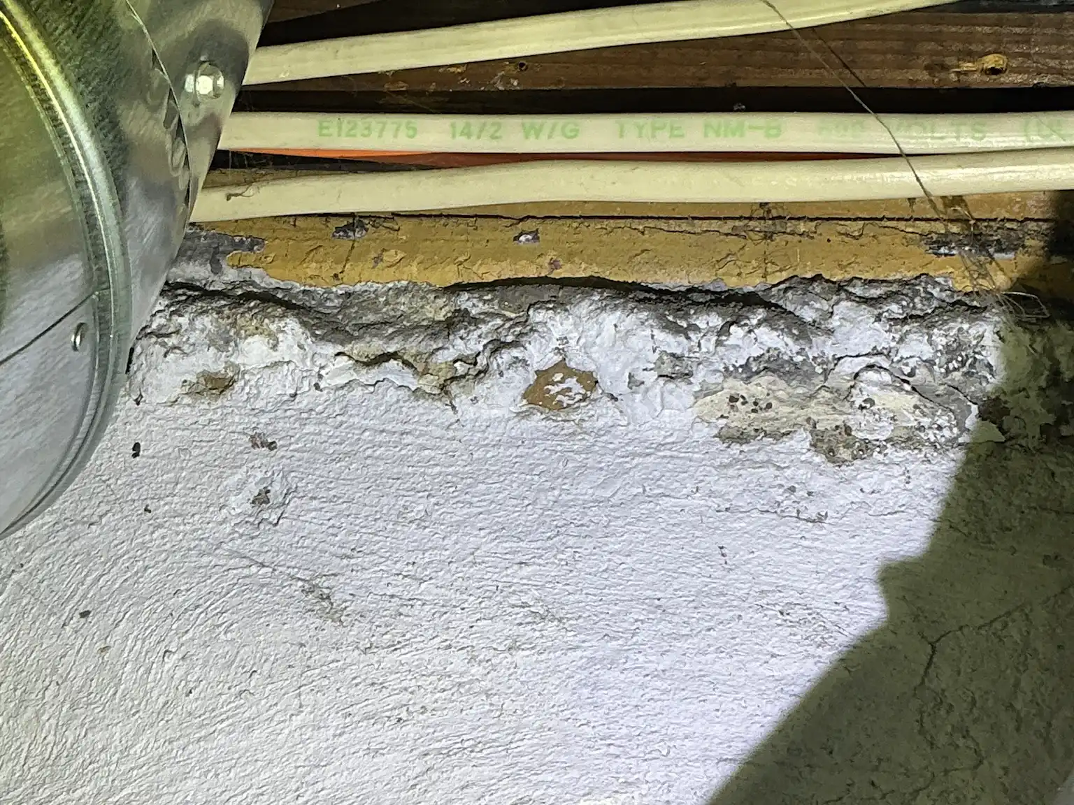 Mold found during a commercial mold inspection in Canton.