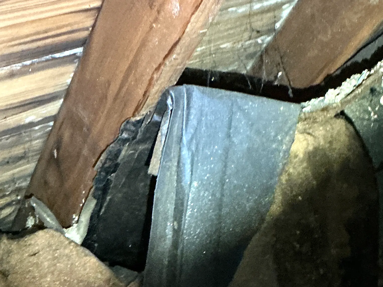 Look at what our mold inspector found in Chagrin Falls..