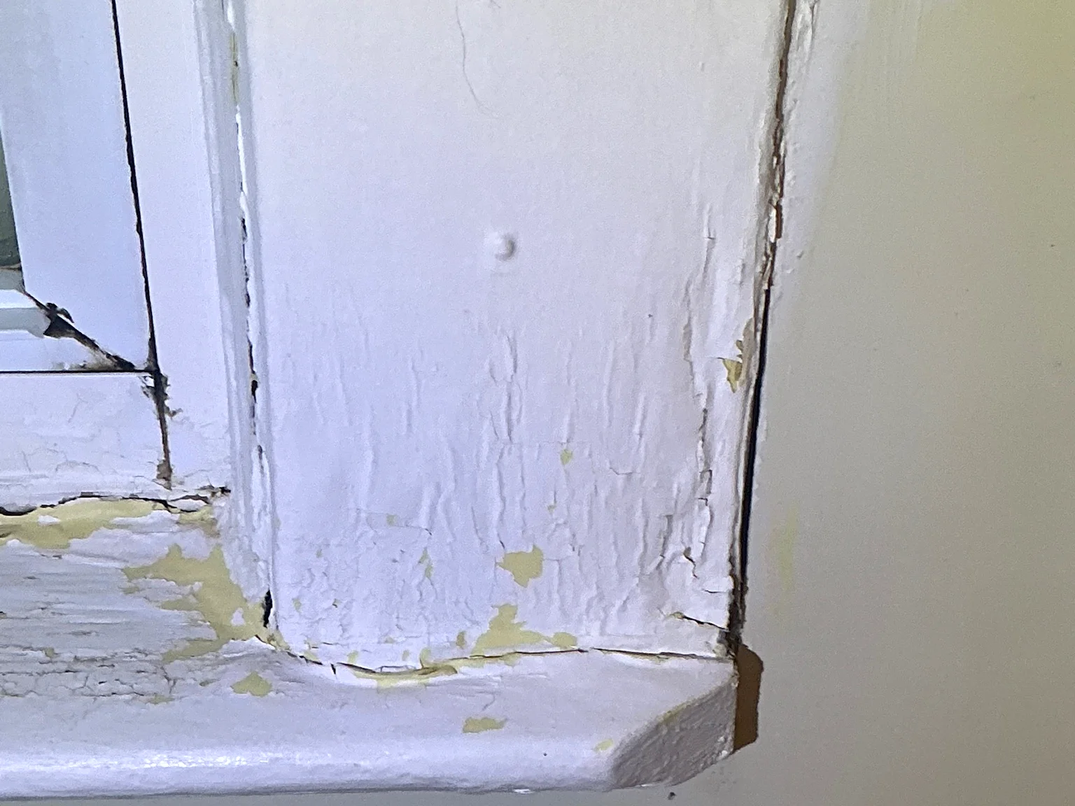 Mold found on a surface during an inspection in Chagrin Falls.