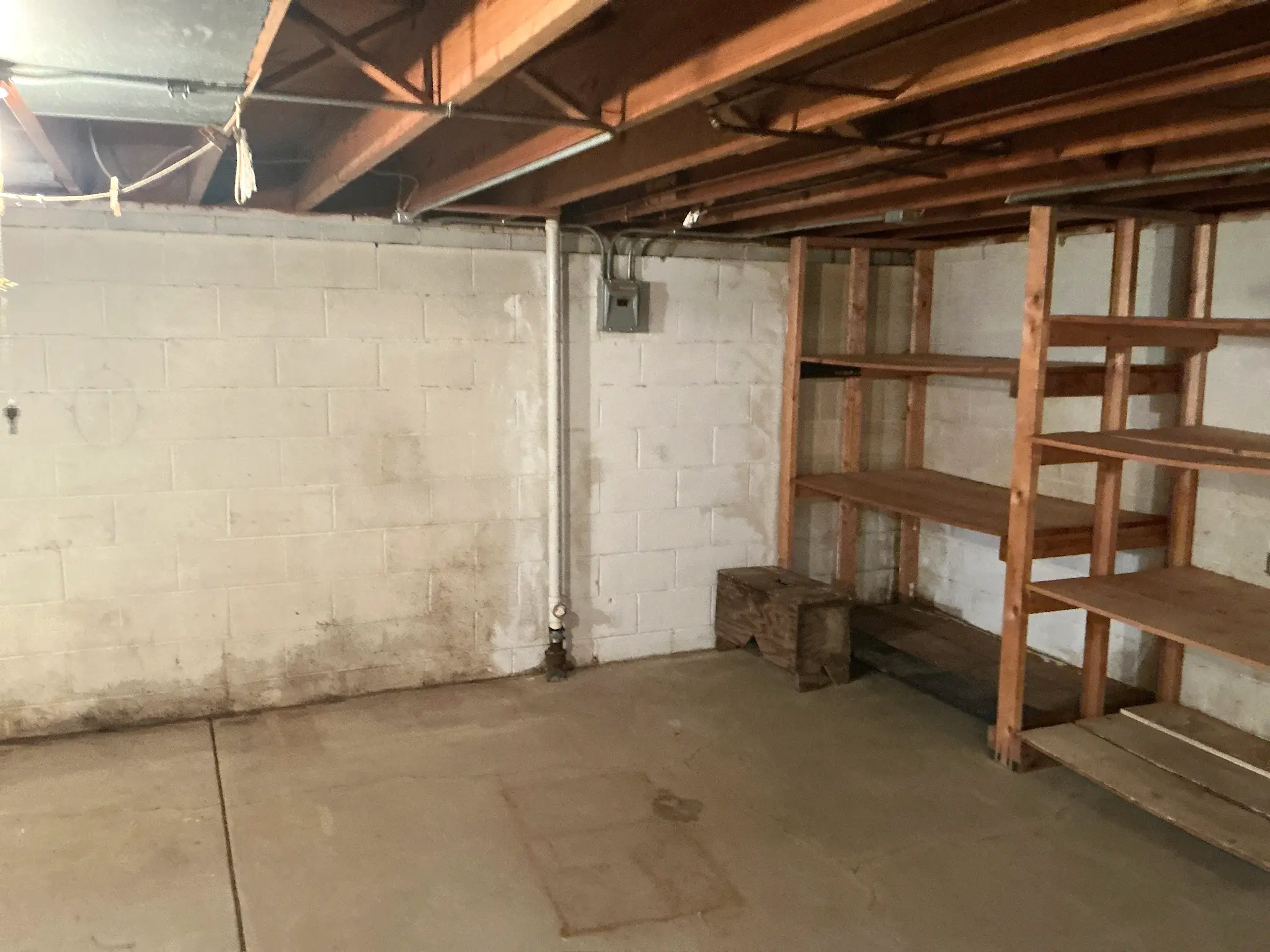 Mold inspection in Chagrin Falls.