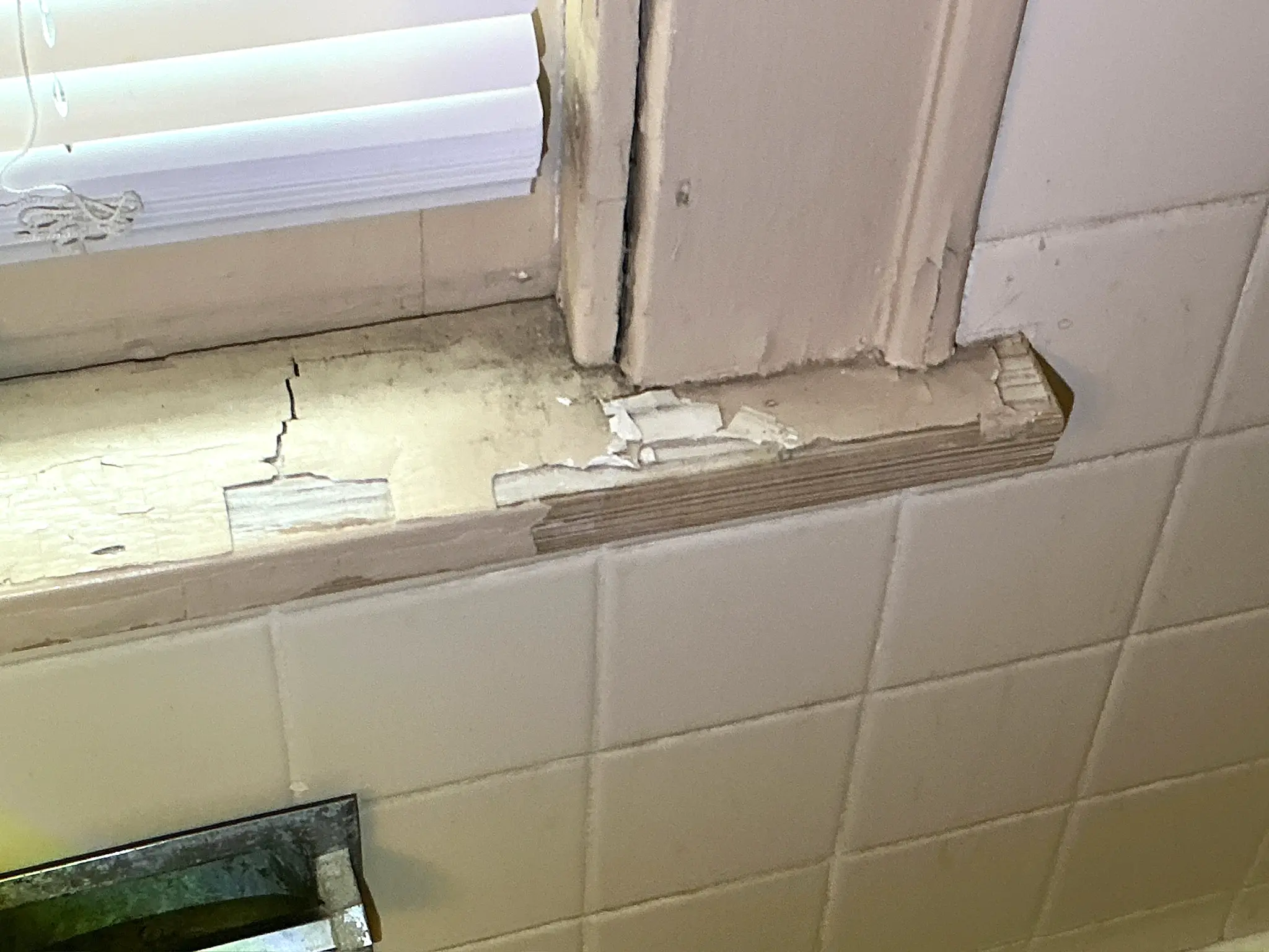 Mold found during a home inspection in Chagrin Falls.