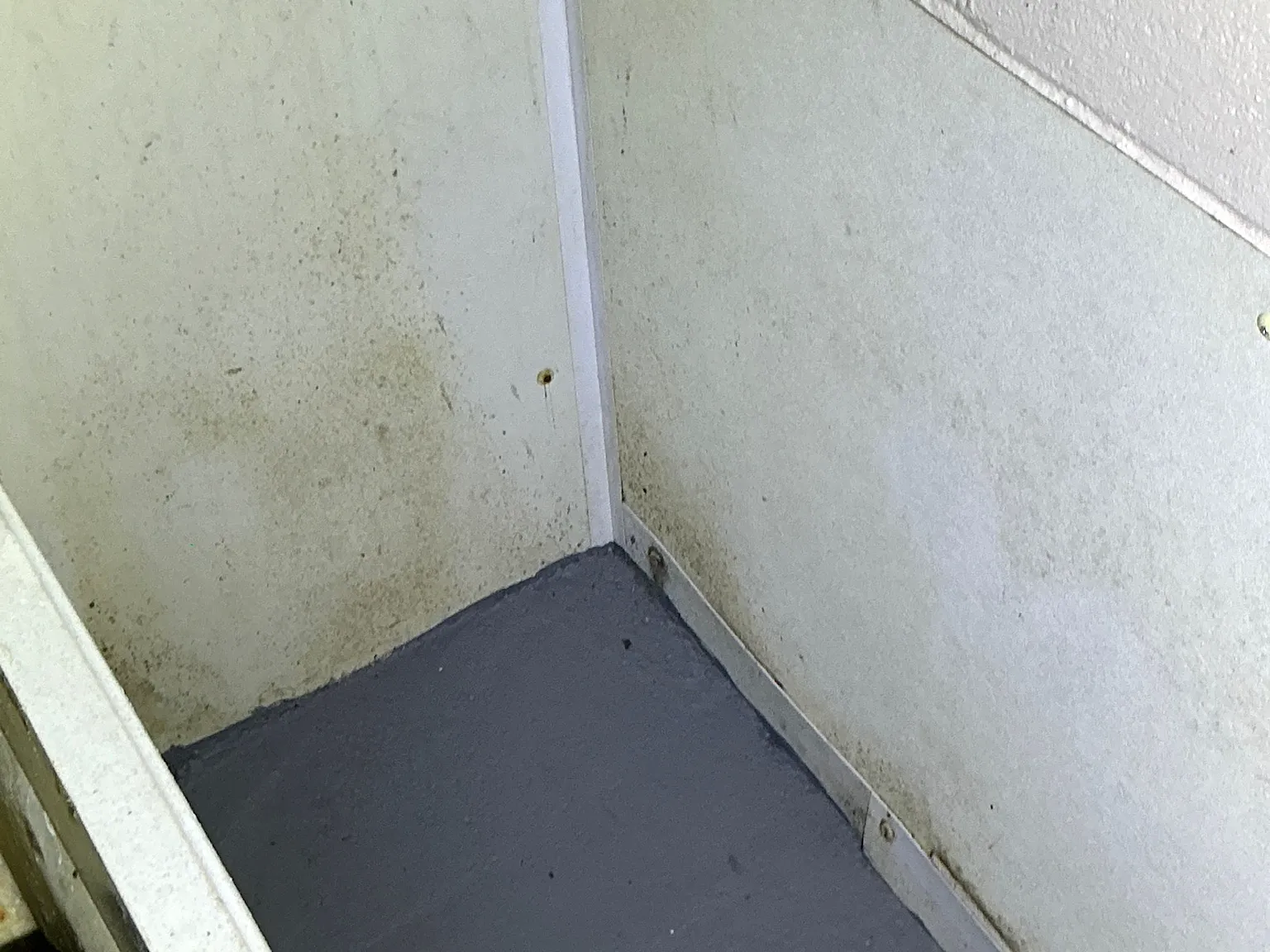 Mold found during a commercial mold inspection in Chagrin Falls.