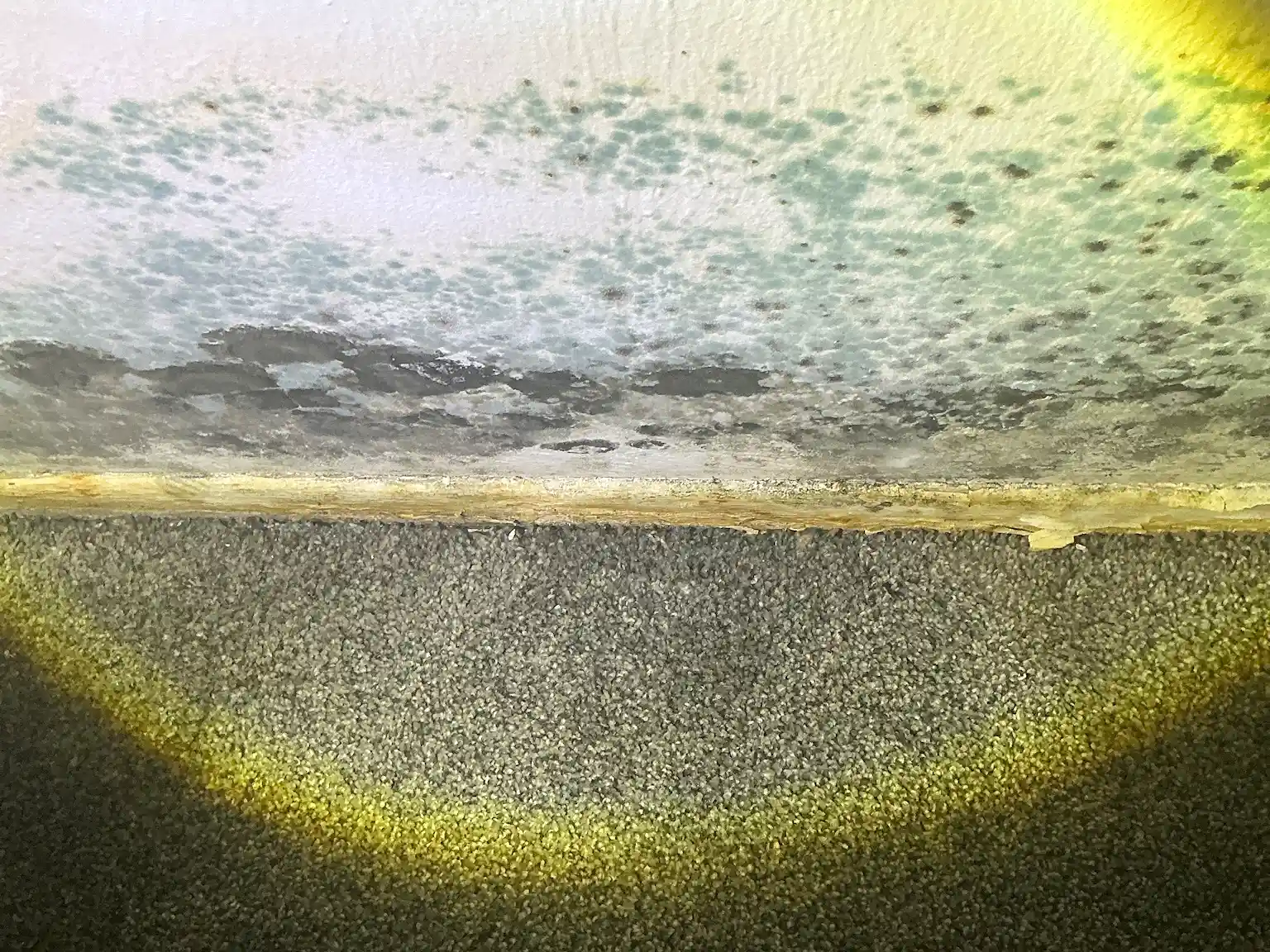 Our mold inspector found this surface mold in Champion.