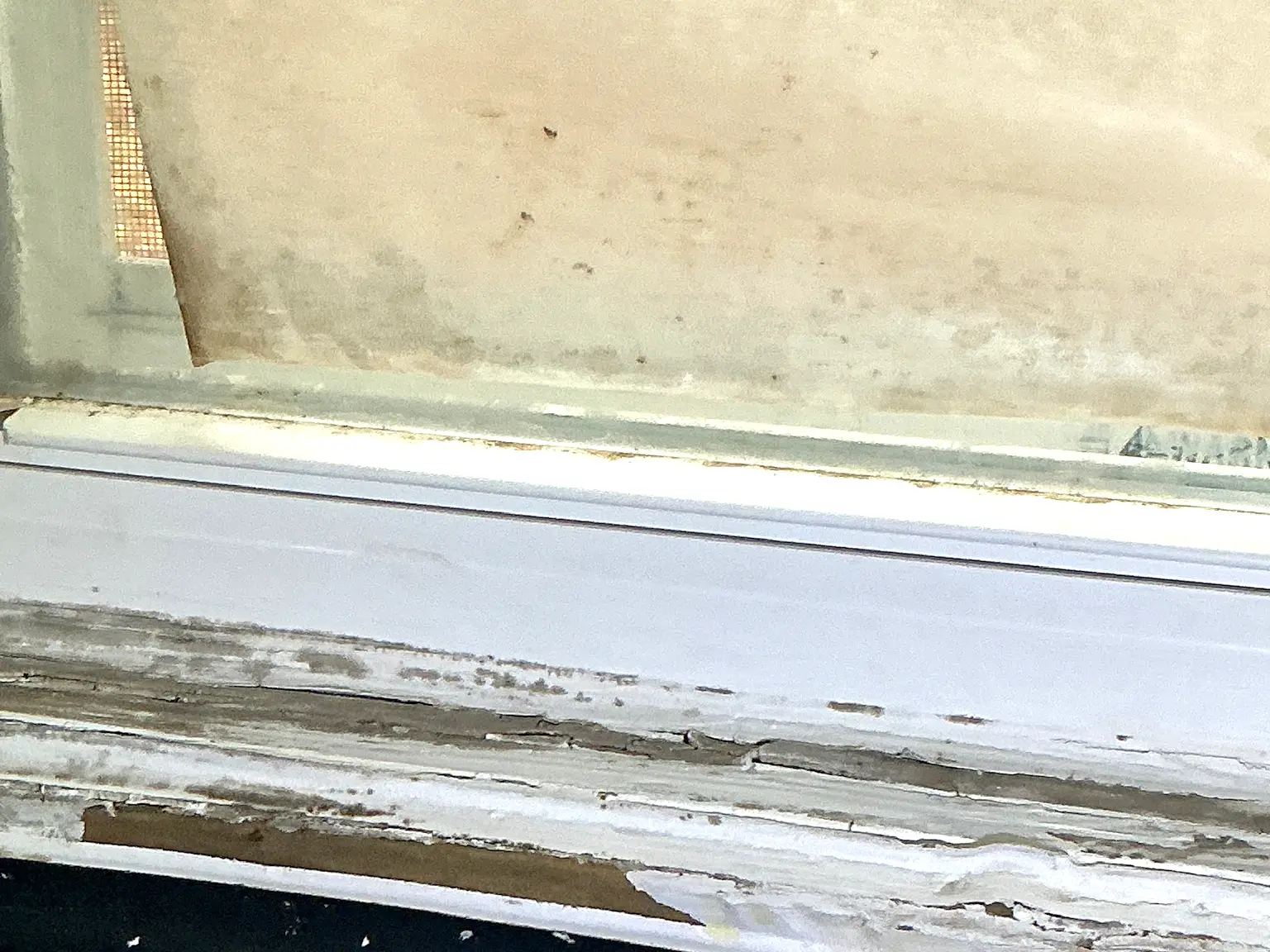 Mold found during a home inspection in Champion.