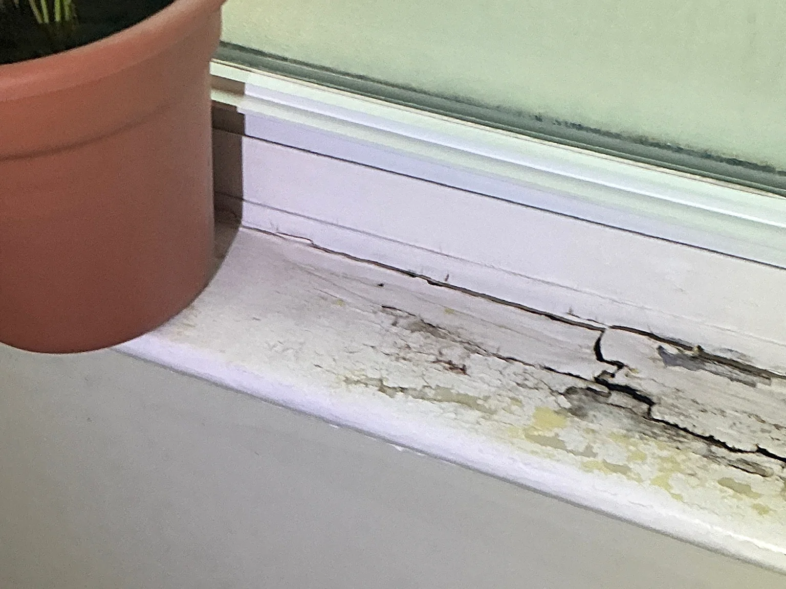 Look at what our mold inspector found in Churchill..
