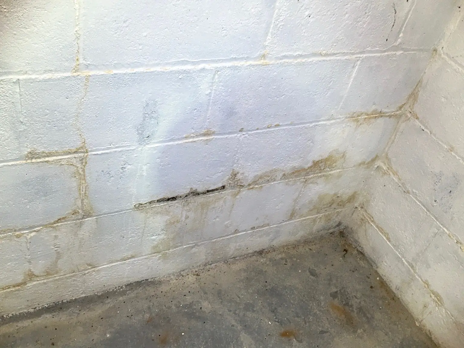 Mold found on a surface during an inspection in Churchill.