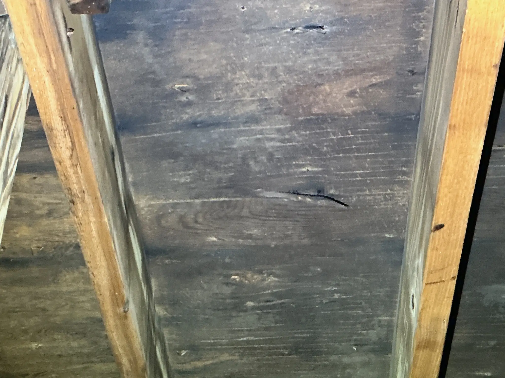 Mold found on a surface during an inspection in Cleveland Heights.