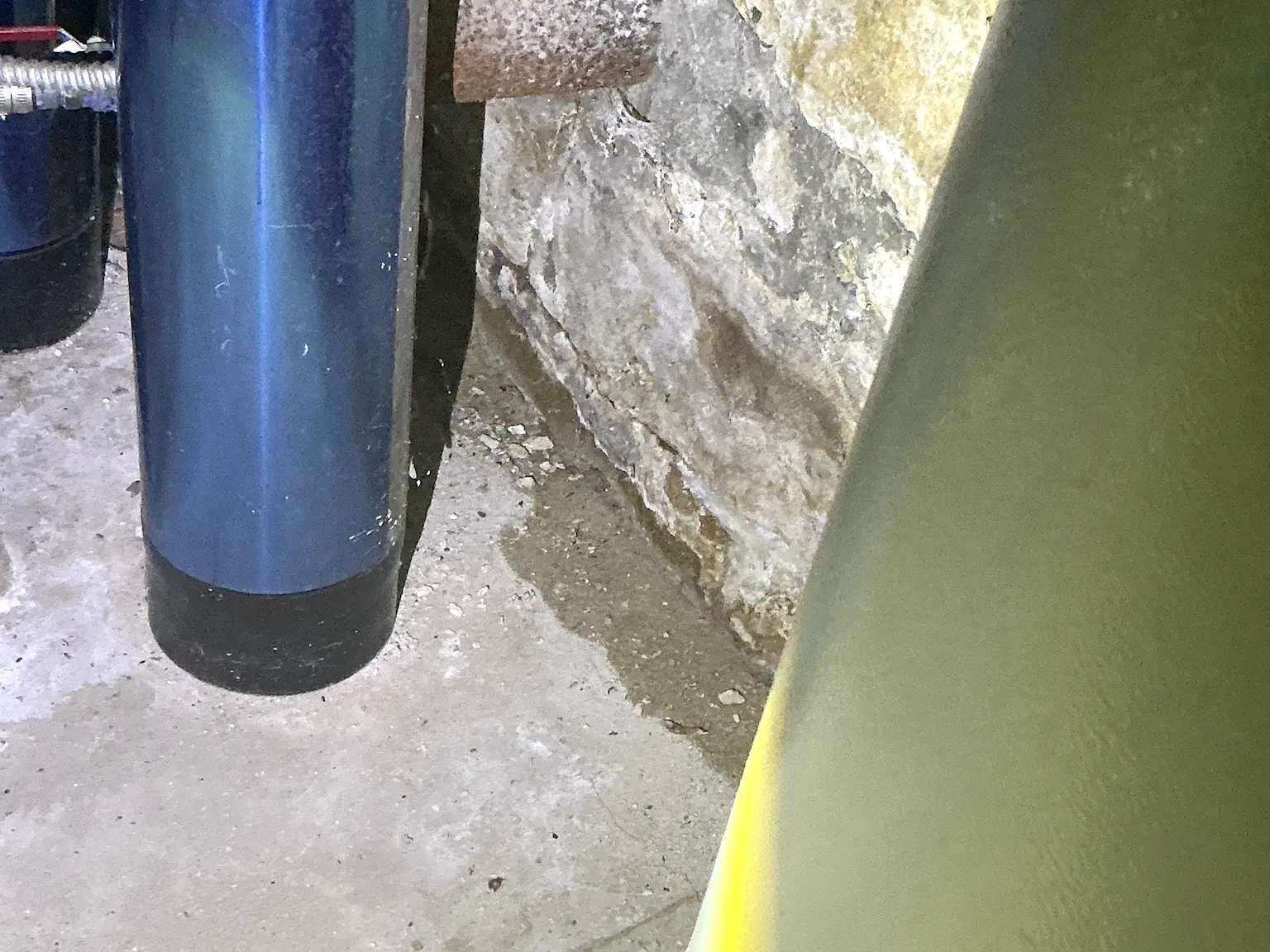 Our mold inspector found this surface mold in Cleveland Heights.
