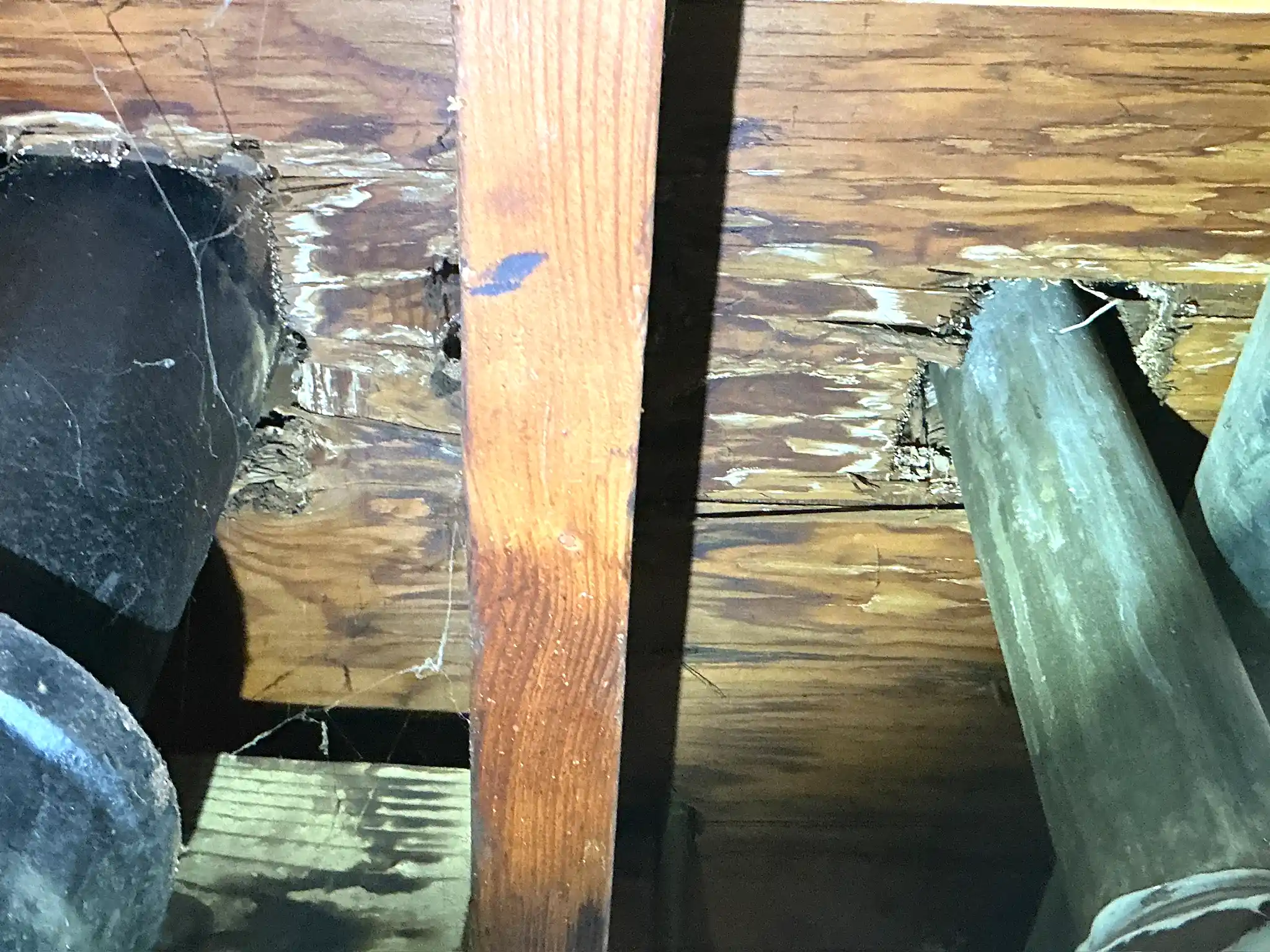 Mold inspection in Cleveland.
