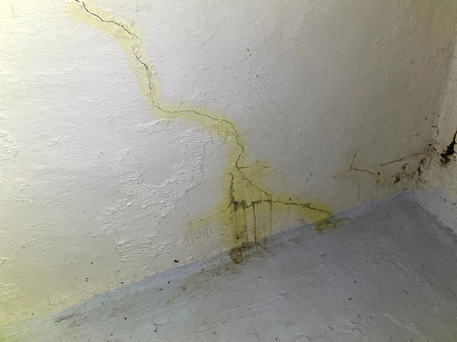 Look at what our mold inspector found in Copley..