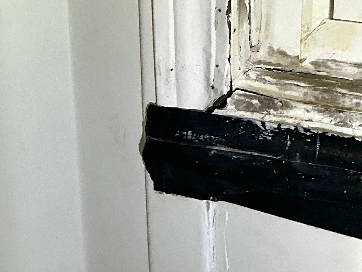Mold found on a surface during an inspection in Copley.