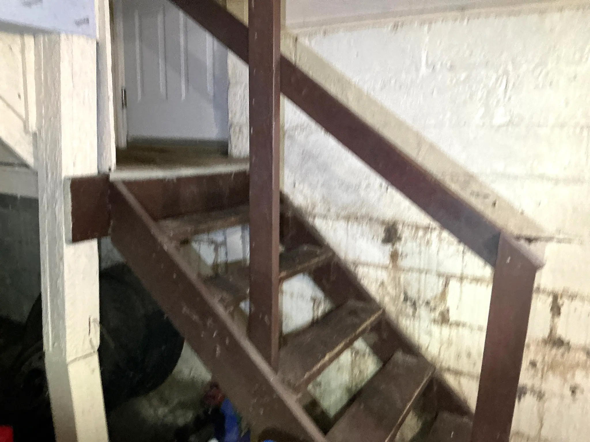 Mold inspection in Copley.