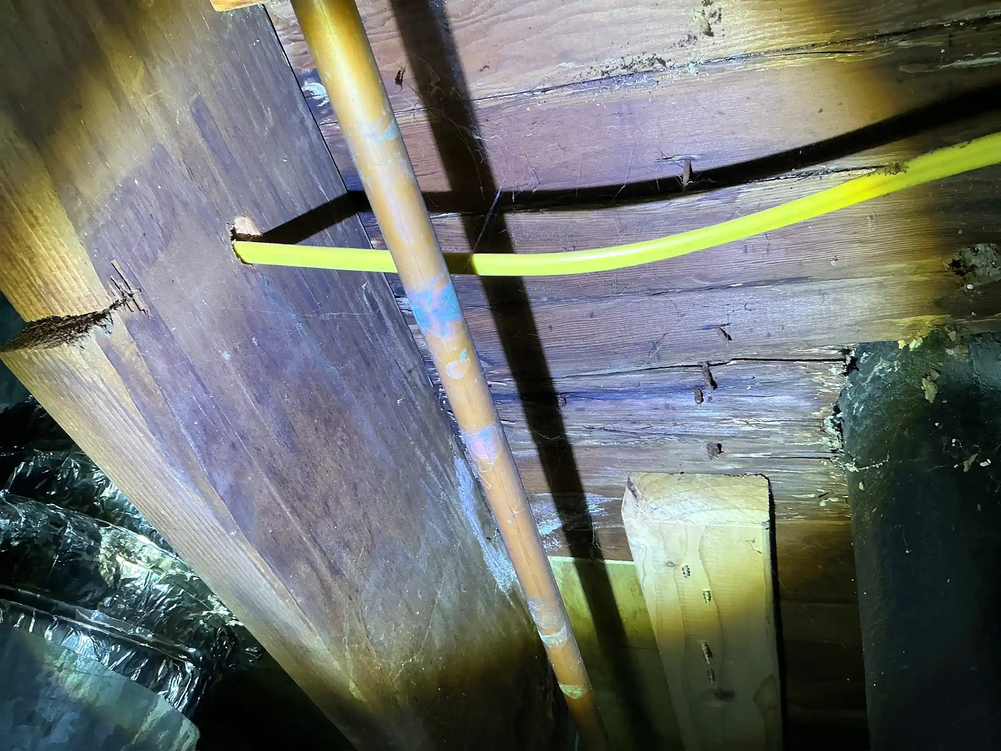 Mold found during a commercial mold inspection in Copley.