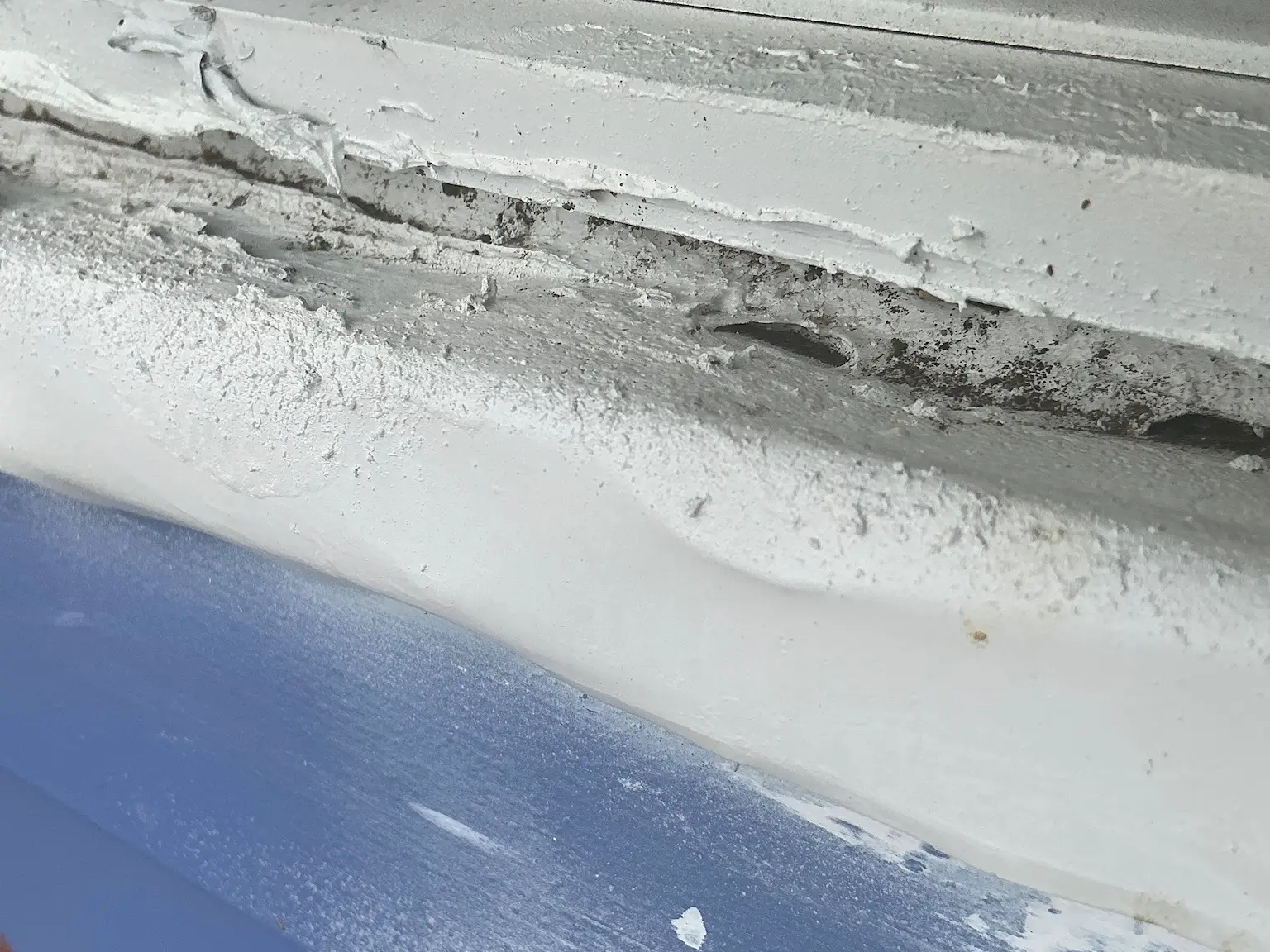 Mold found on a surface during an inspection in Cortland.