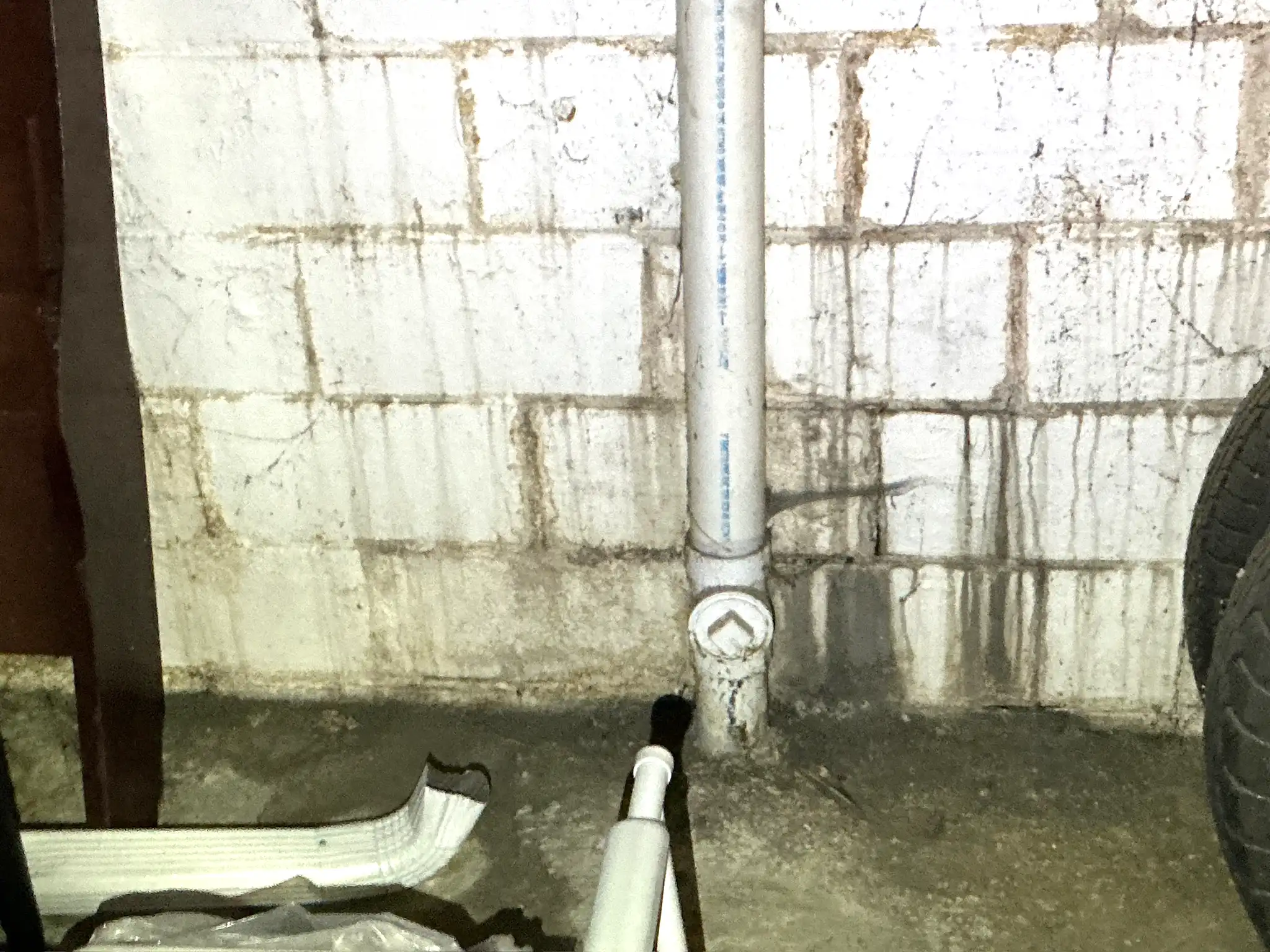 Mold found on a surface during an inspection in Cuyahoga Falls.
