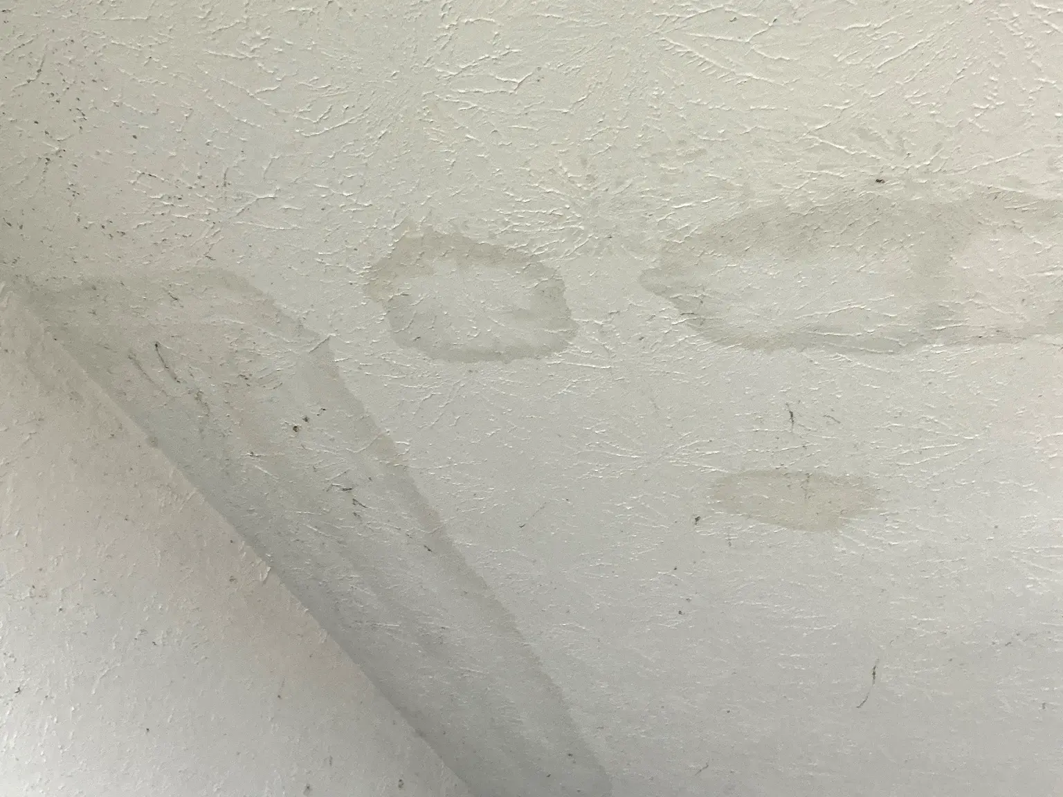 Mold inspection in Cuyahoga Falls.