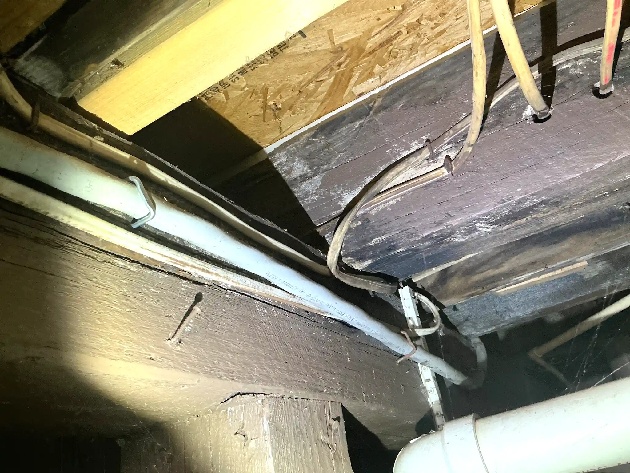 Our mold inspector found this surface mold in Cuyahoga Falls.