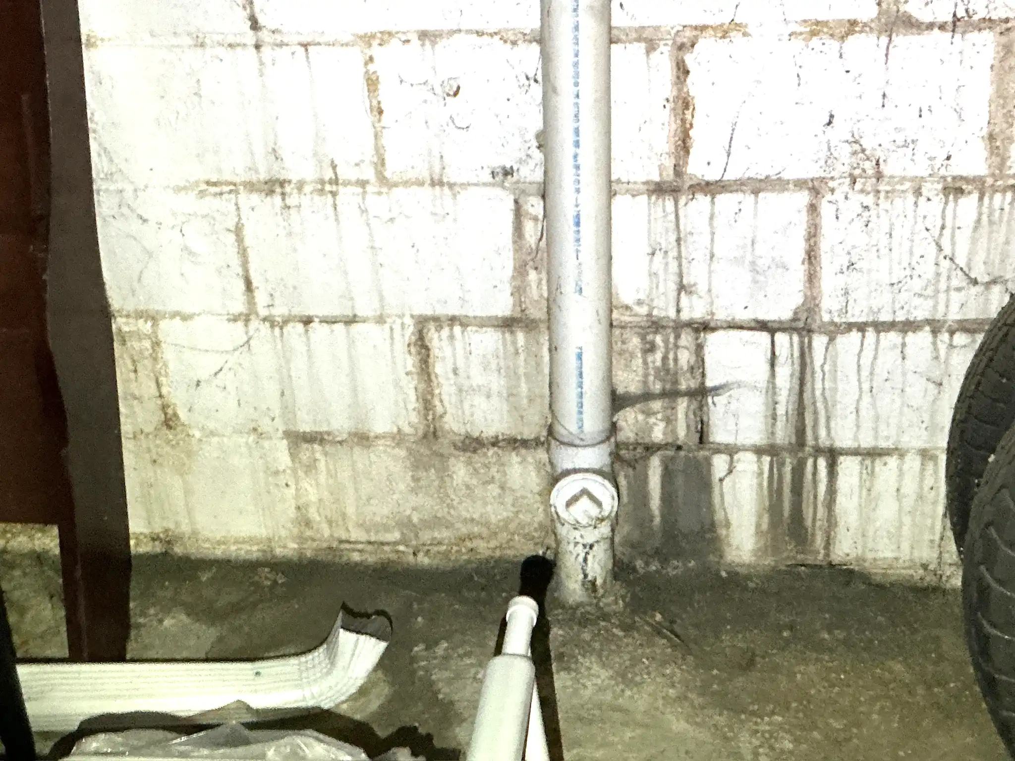 Look at what our mold inspector found in Detroit Shoreway..