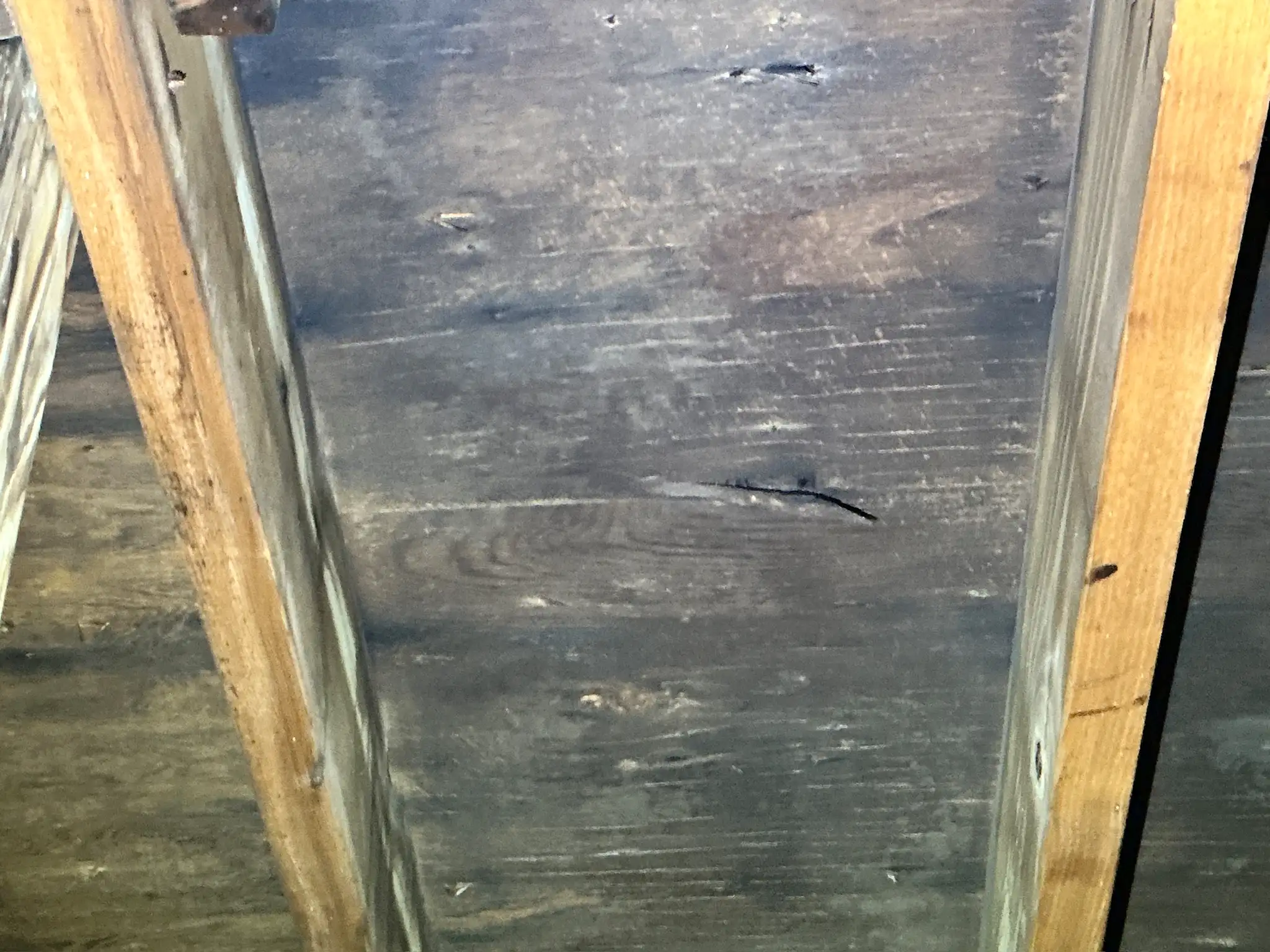 Mold inspection in Detroit Shoreway.
